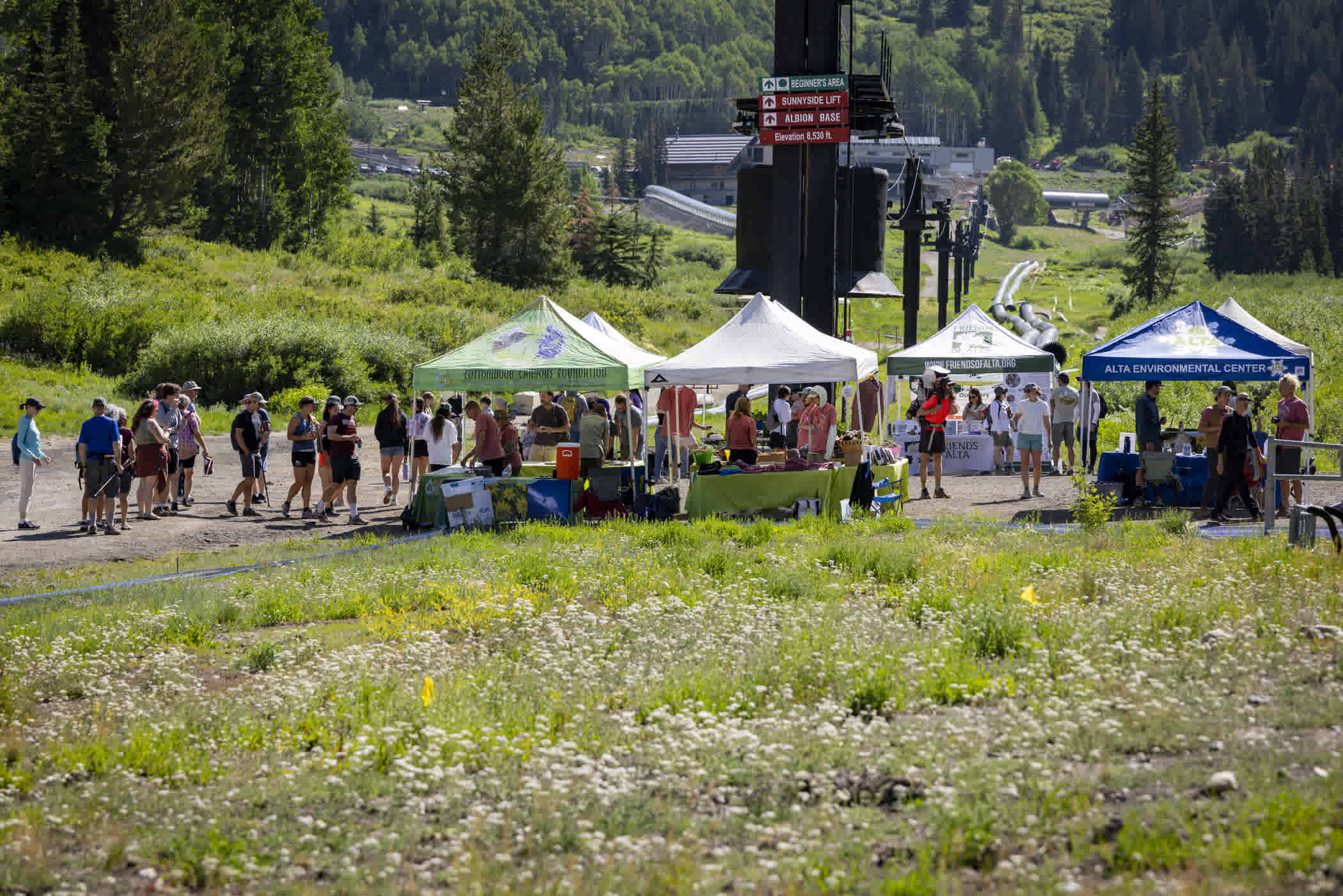 Base Camp at Wasatch Wildflower Festival 2025 | Photo: Rocko Menzyk
