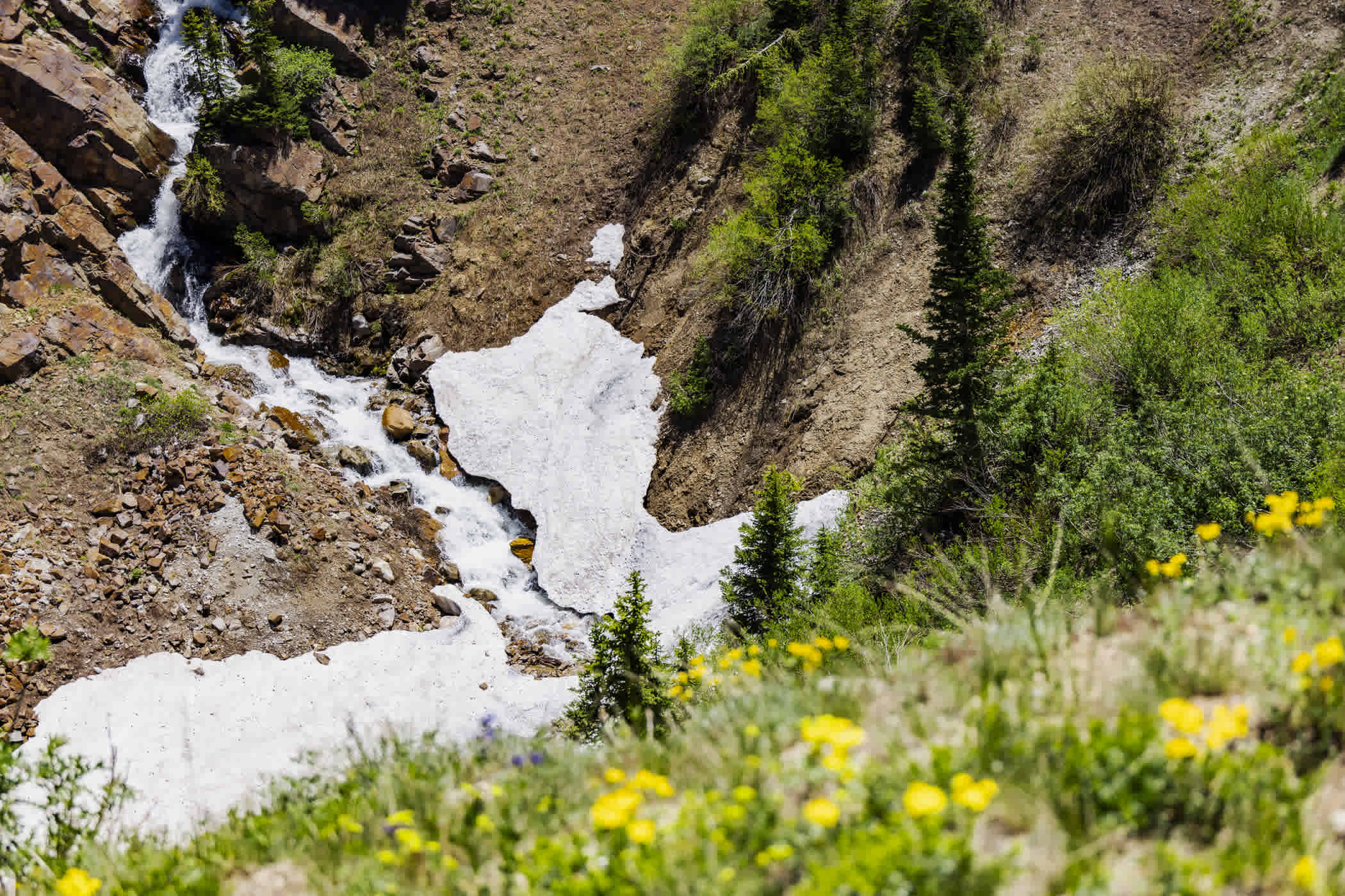 Little Cottonwood Creek running through Snake Pit trail