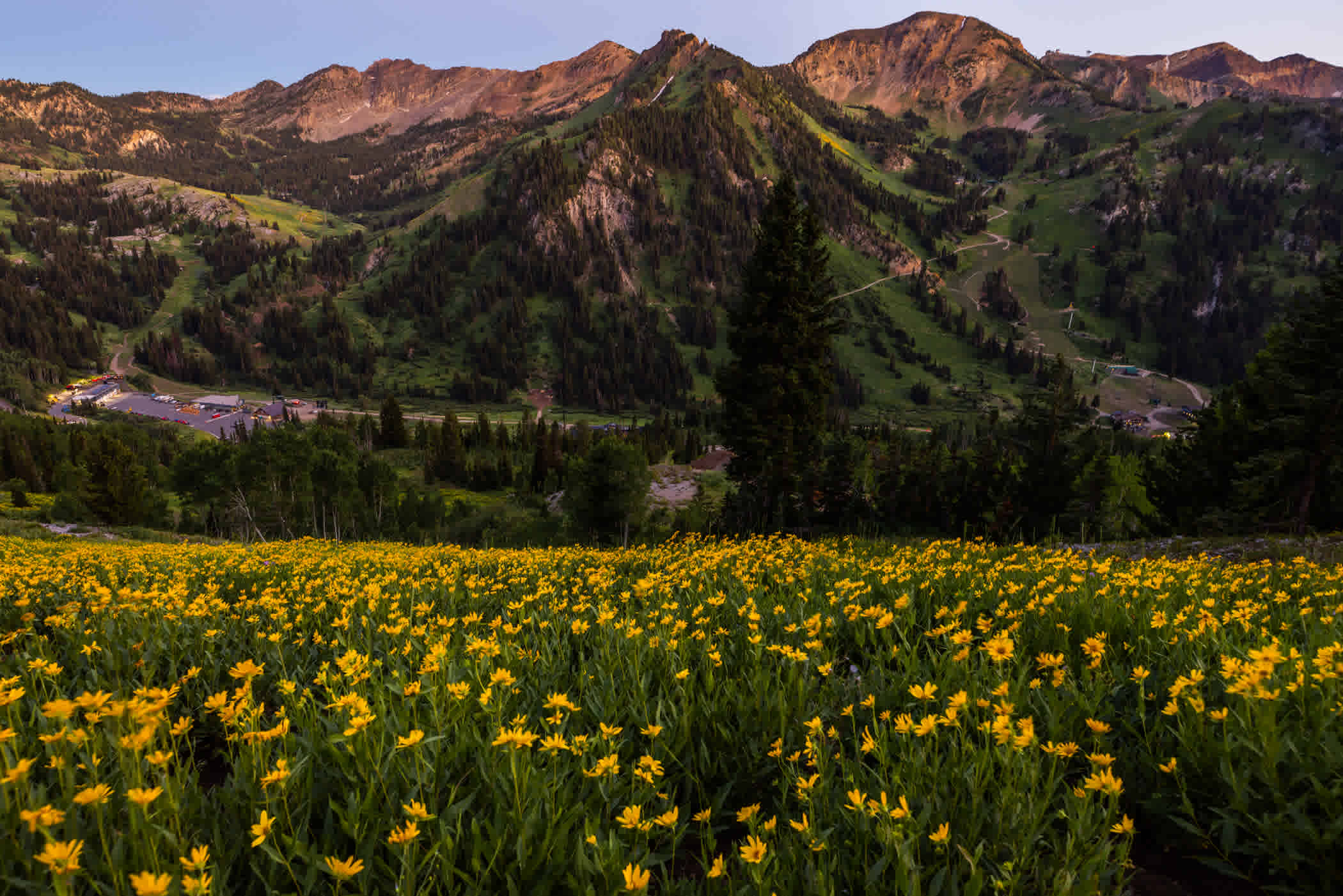 Views of Alta Ski Area from the Twin Lakes Pass trail