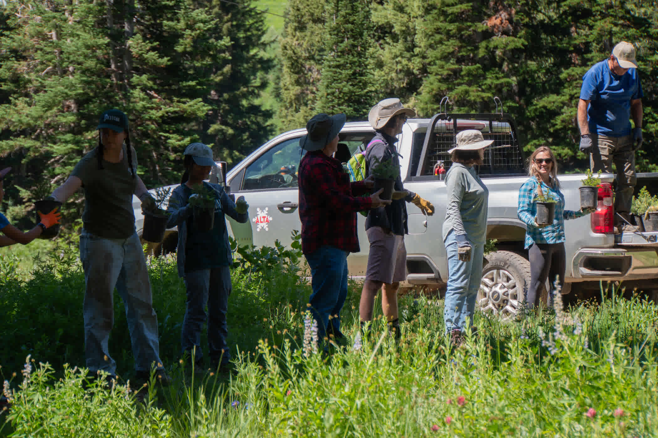 July 12th: Moving harvested trees to the Albion nursery | Photo: Adam Fehr