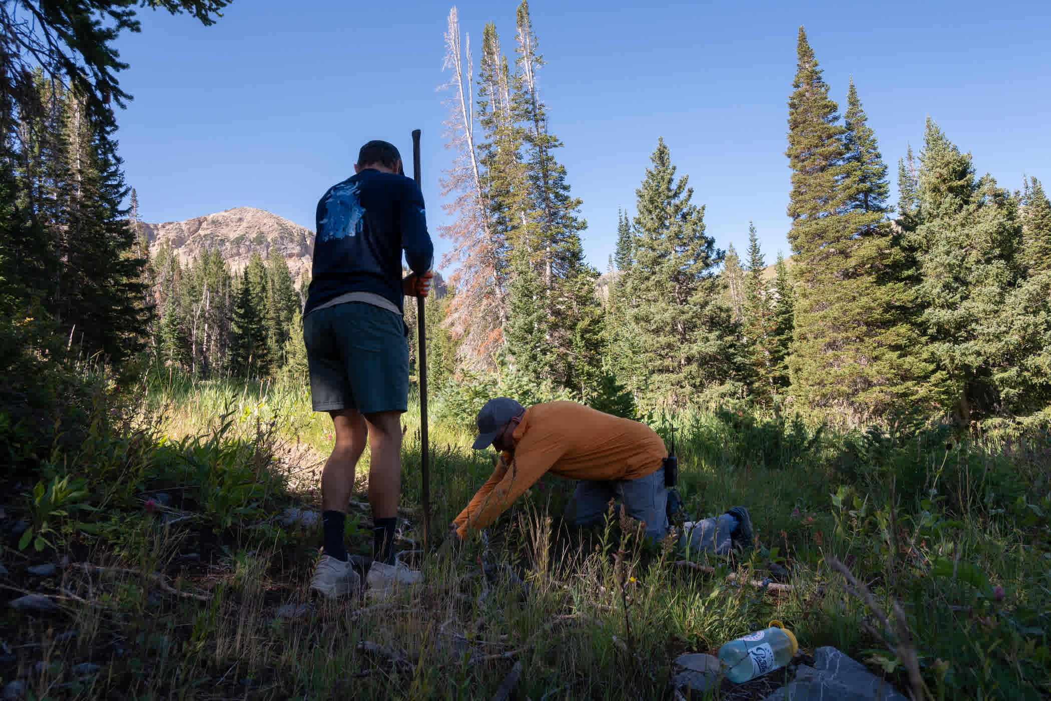 August 27th: Summer employees plant native seedlings near Supreme | Photo: Adam Fehr