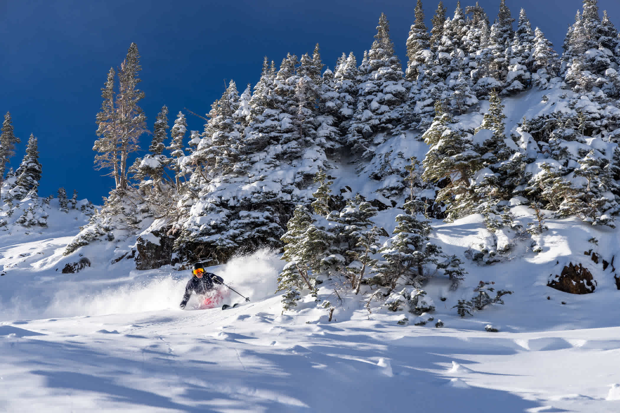 Anna Marno dives into a 71" storm on a bluebird day | Photo: Rocko Menzyk