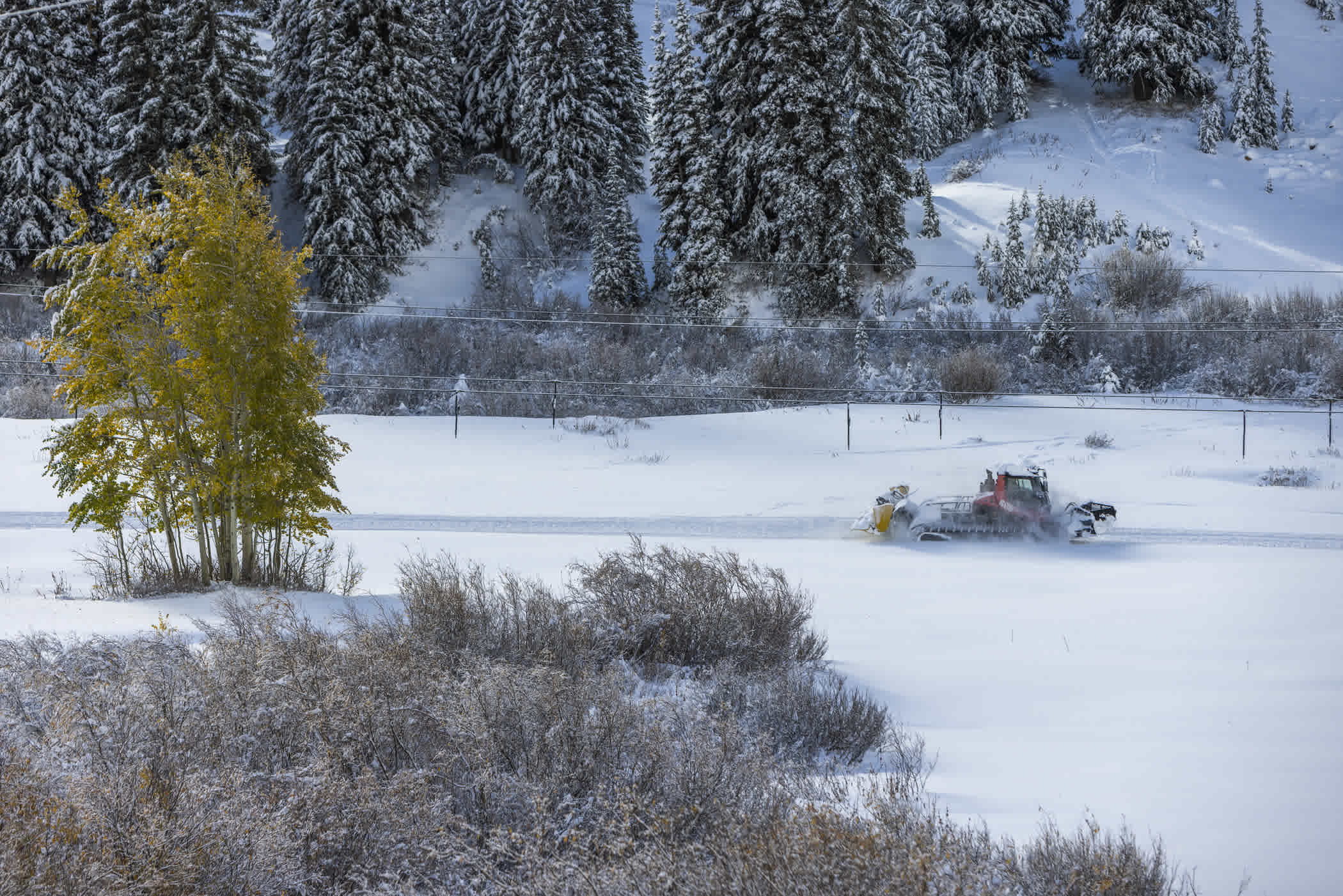 Snowliage at Alta Ski Area on October 22nd, 2022 | Photo: Rocko Menzyk