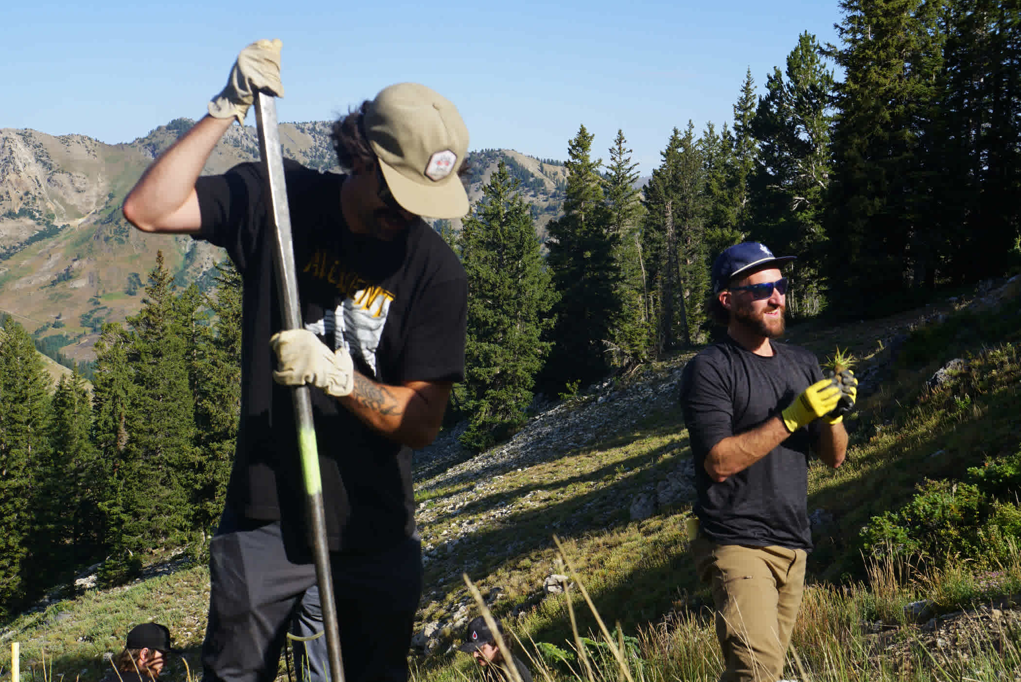 Demitri Dobaj and Jon White from Alta's IT department introduce native seedlings to their new home on Upper Sleepy Hollow | Photo: Lexi Dowdall