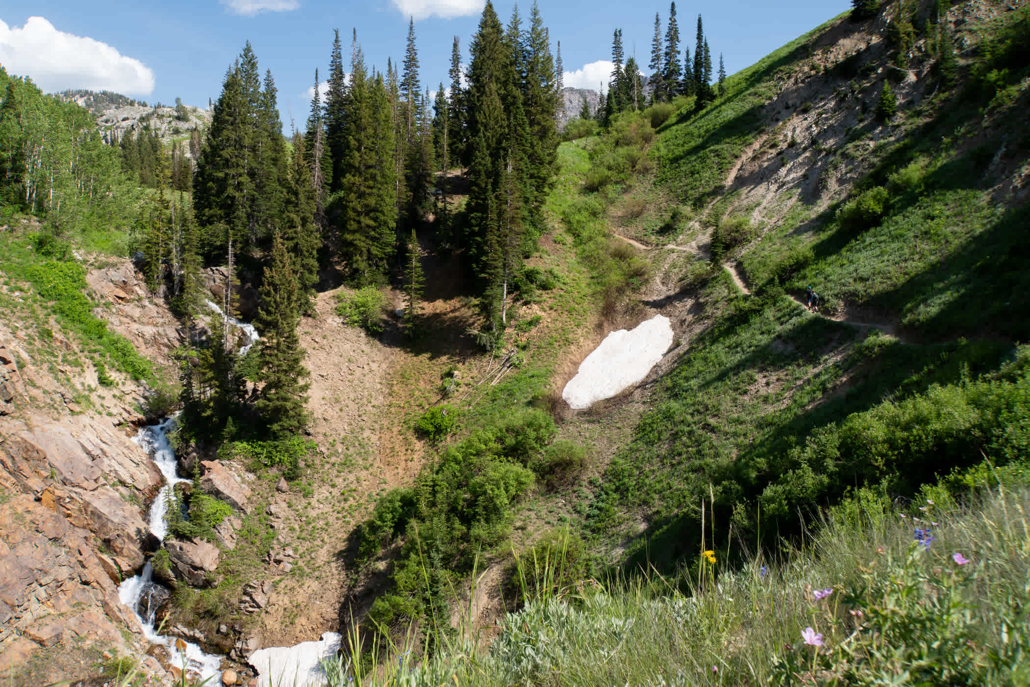 Snake Pit trail