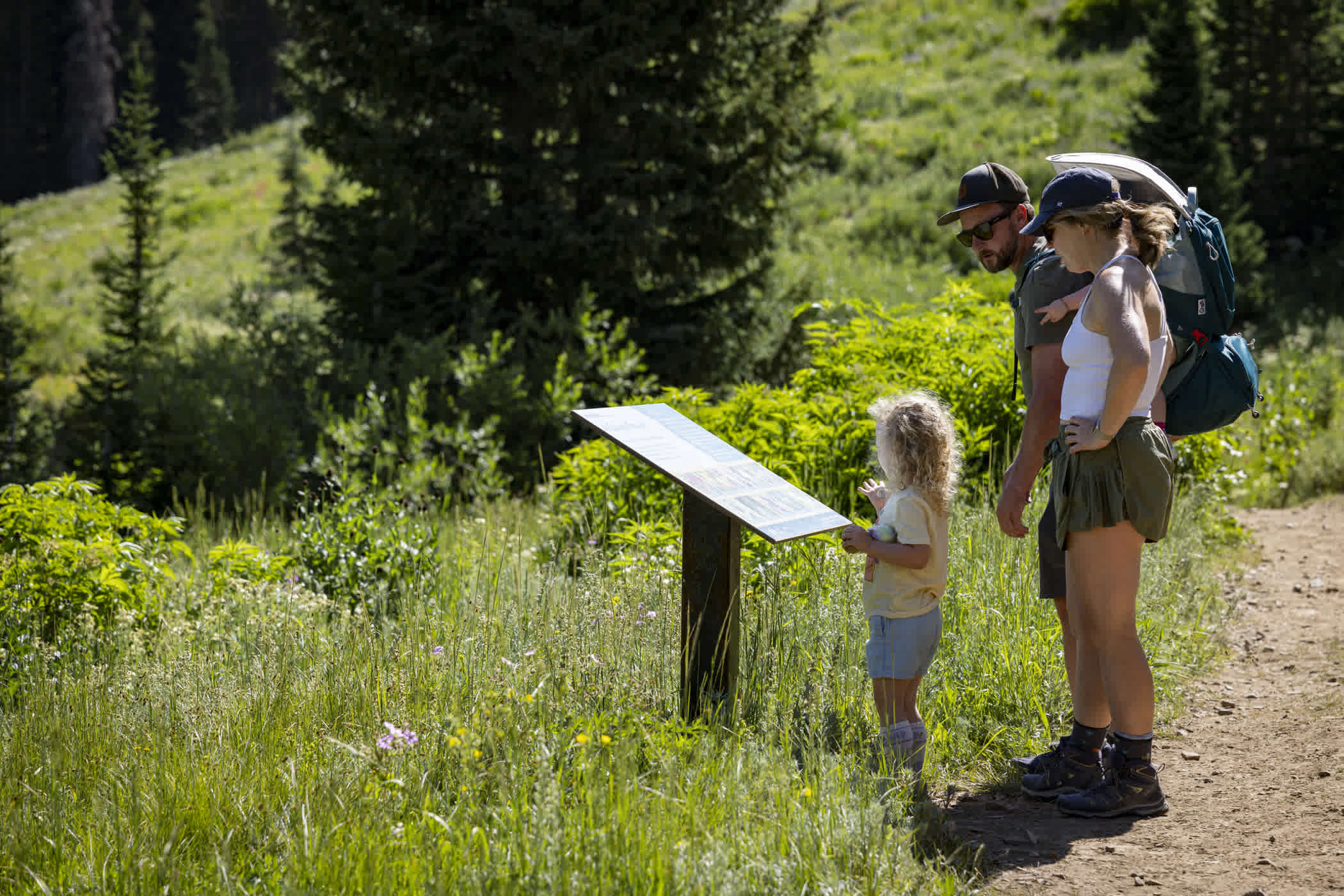 Interpretive signs along the Lower Albion Meadows trail