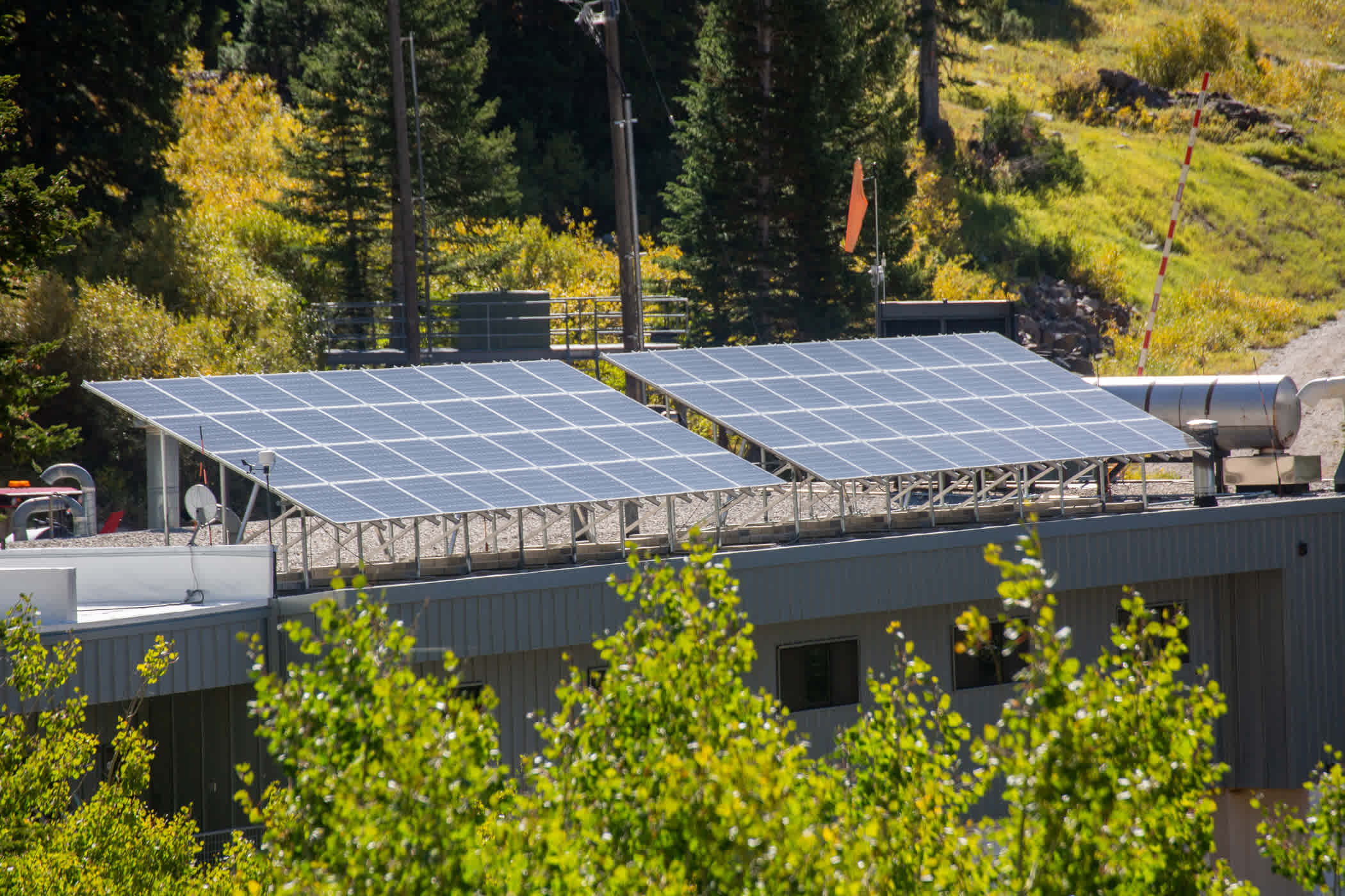 Solar panels on the roof of the Alta cat shop