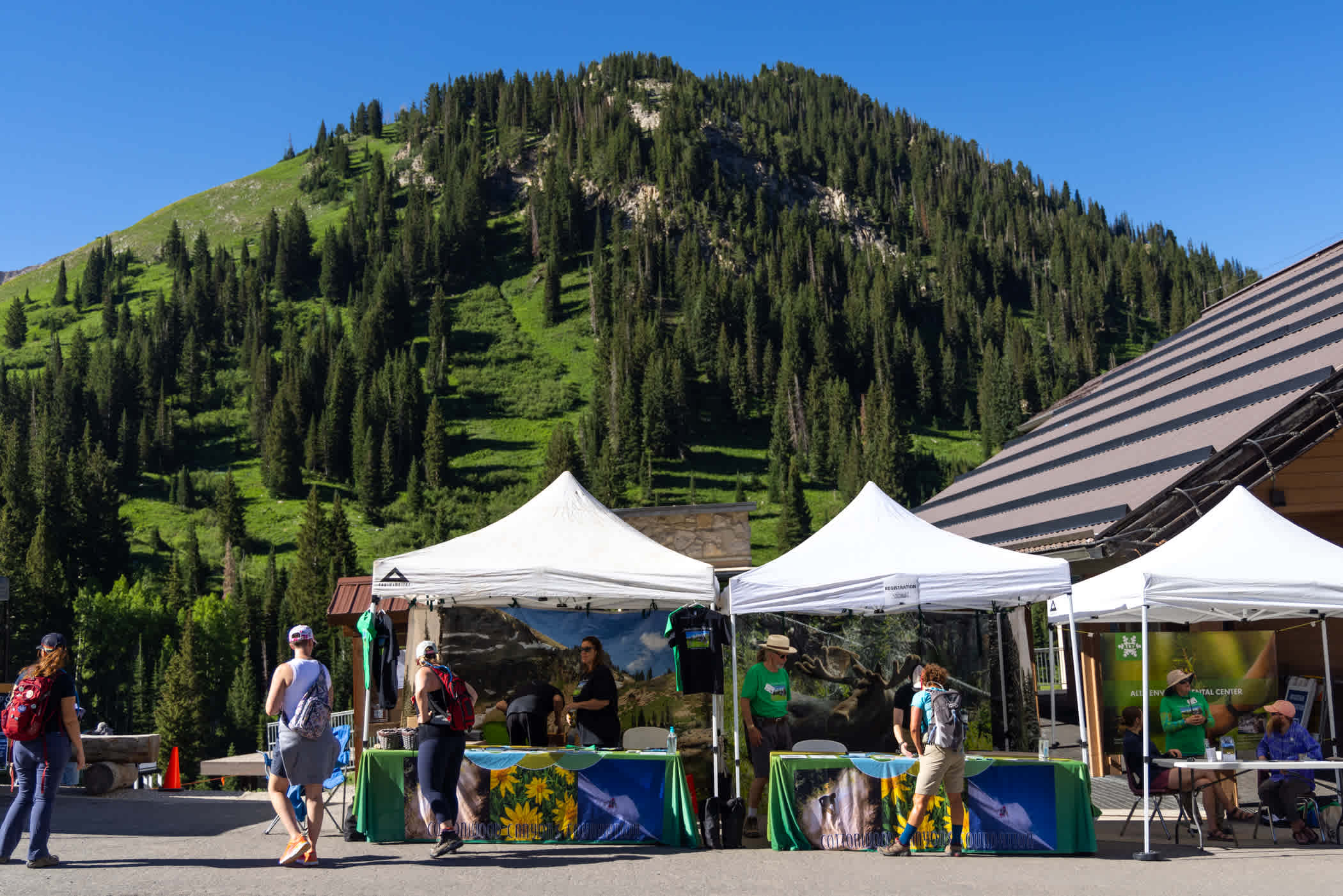 Wasatch Wildflower Festival at Alta