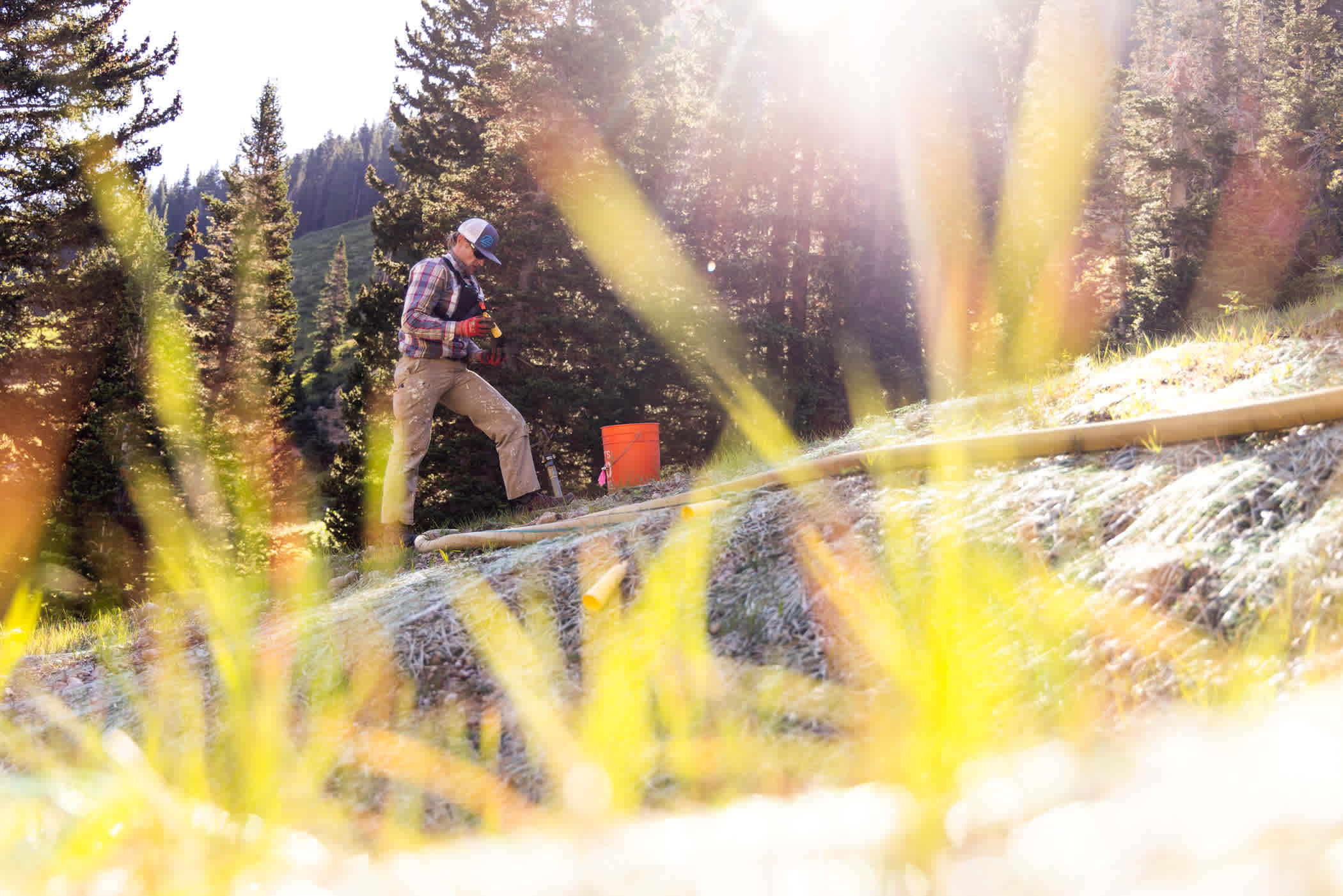 Alta Ski Patroler Andrew McCloskey puts another seedling in the ground | Photo: Rocko Menzyk