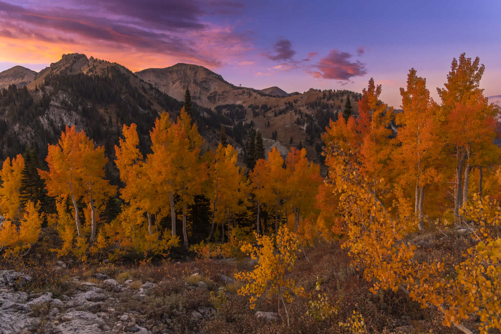 Fall colors on full display on October 13th | Photo: Rocko Menzyk