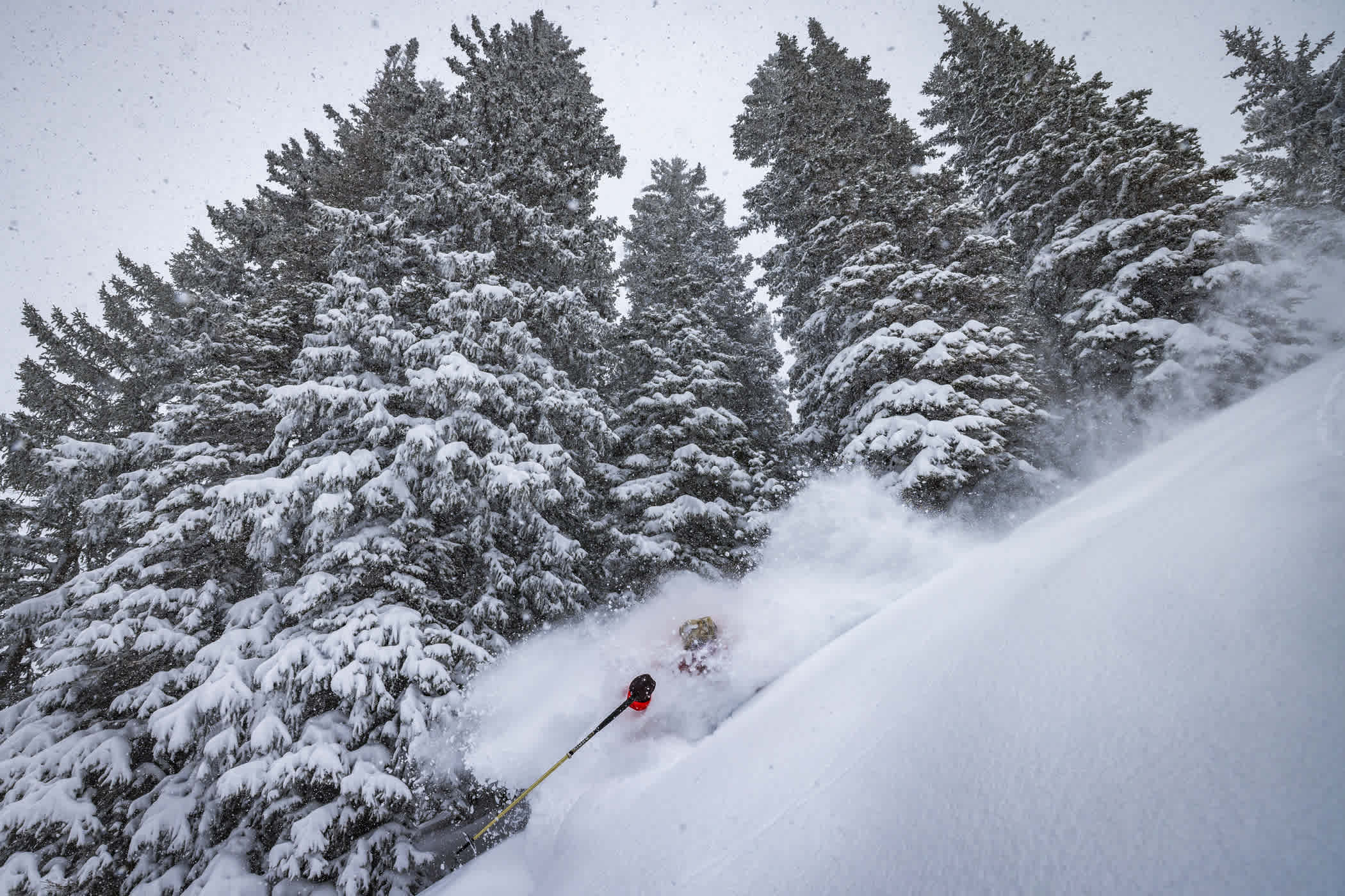 March 5th: Tommy Flitton skis the storm | Photo: Rocko Menzyk
