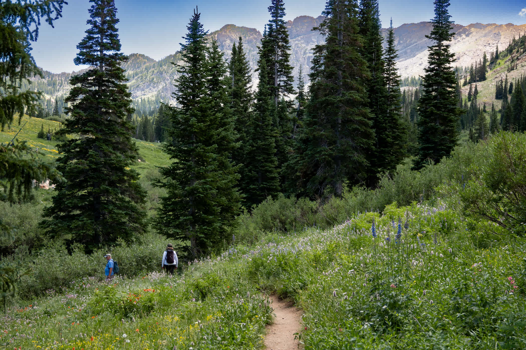 Walking through wildflower fields with Devil's Castle in the background