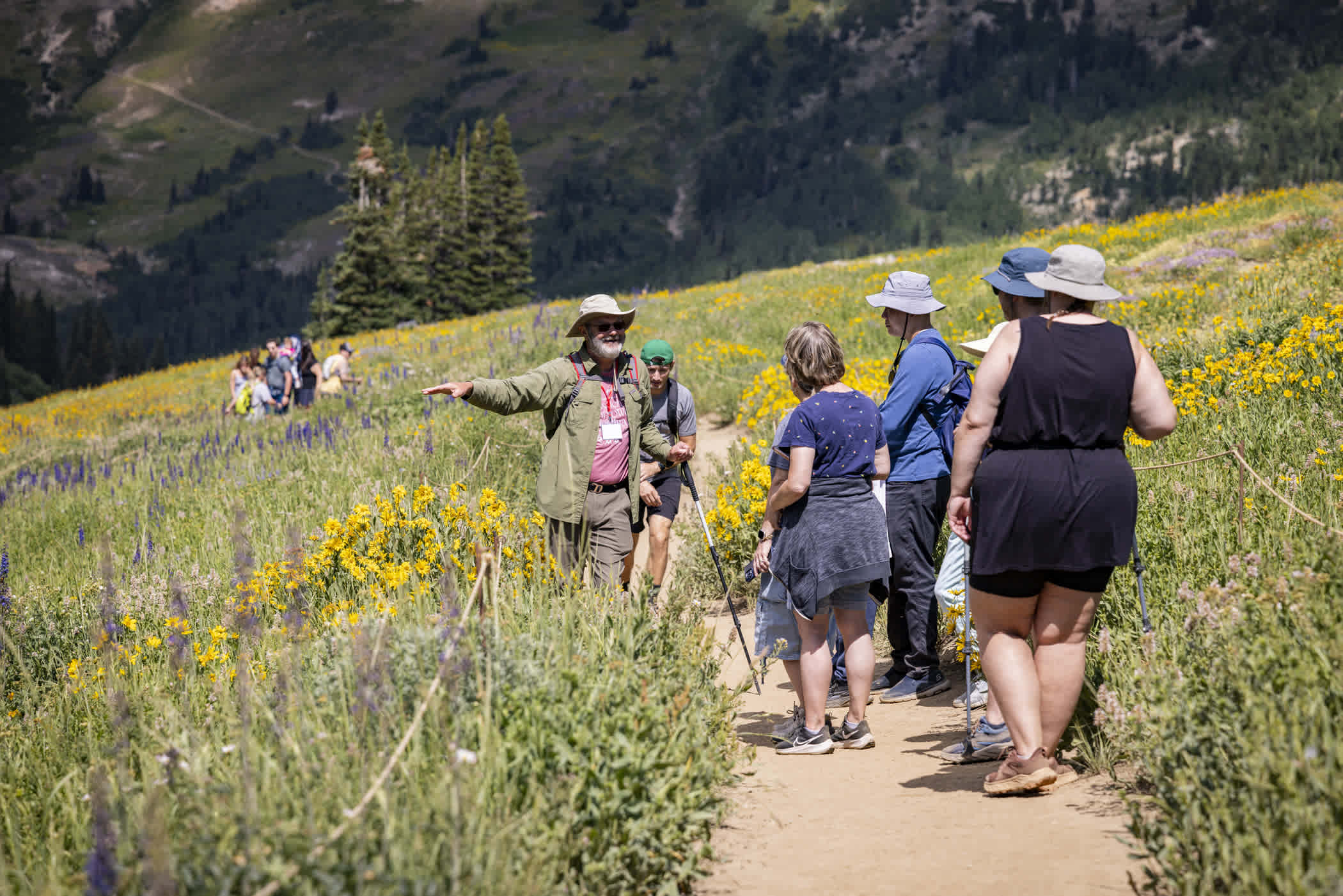 Wasatch Wildflower Festival