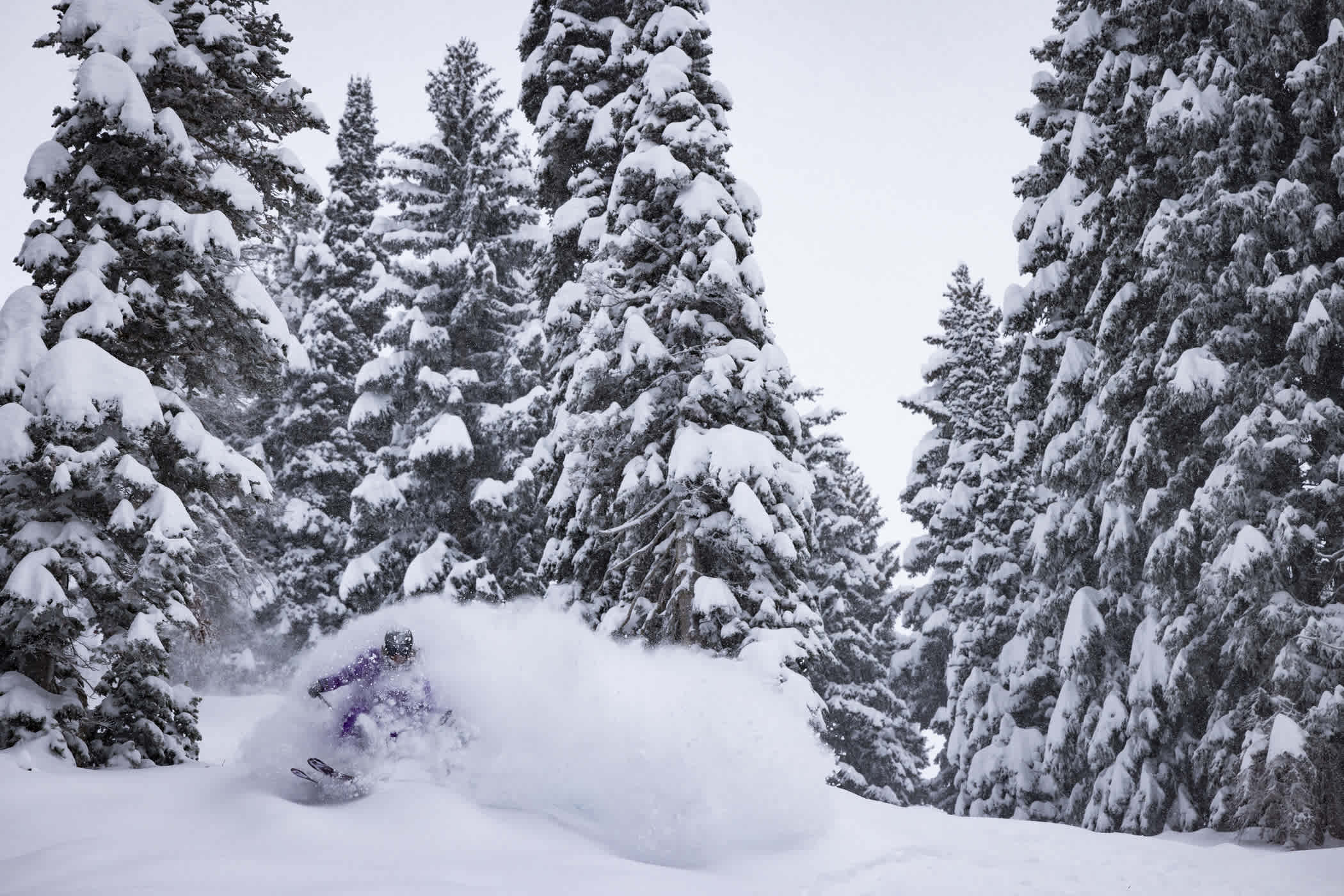 January 8th: Georgie Knox bounces through blower powder | Photo: Rocko Menzyk