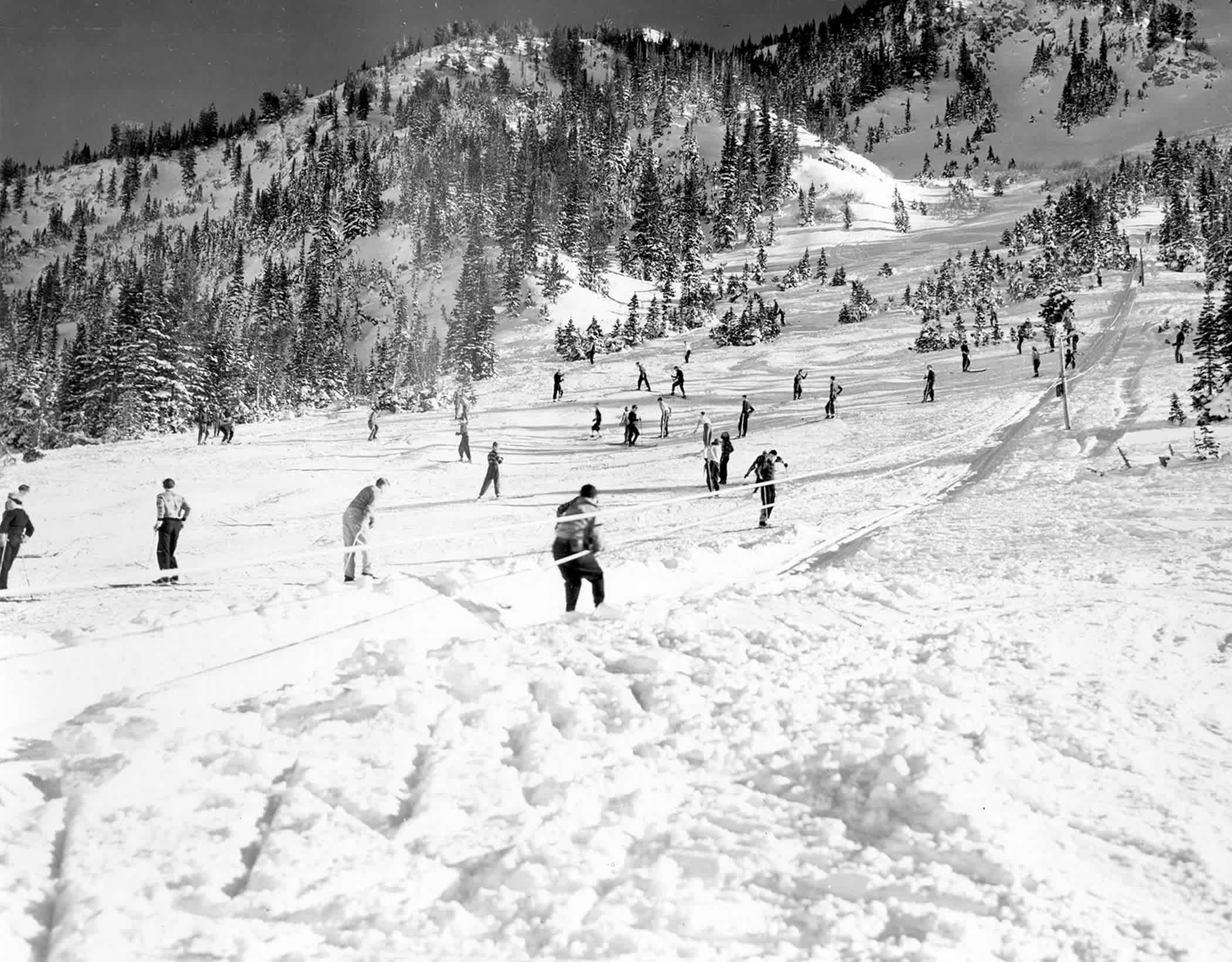 1398 Rope Tow