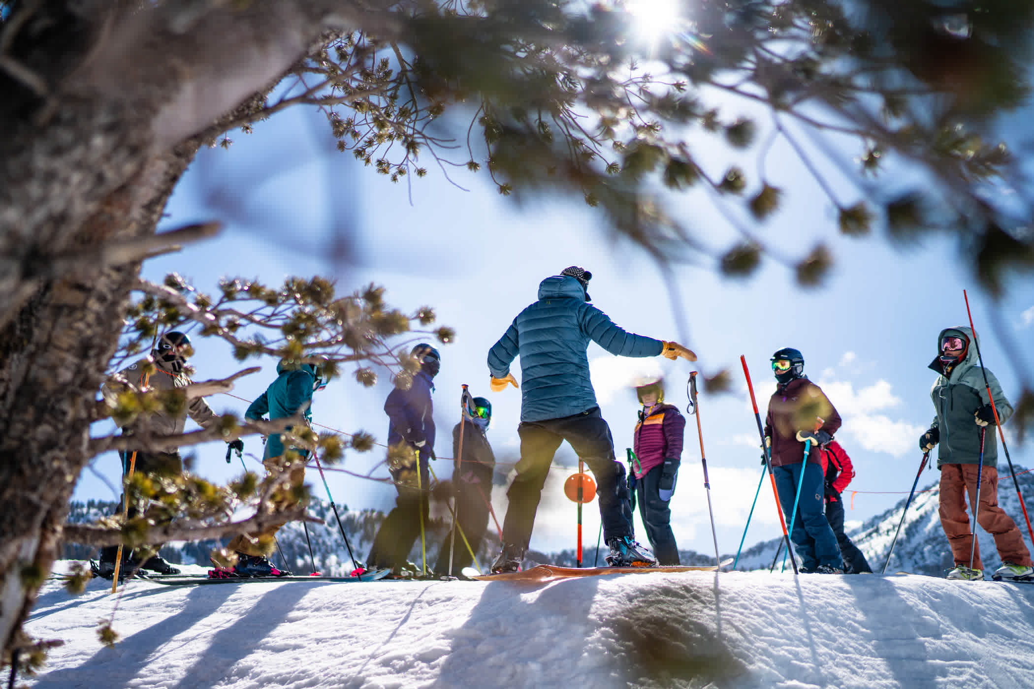 A group gathers around a pine tree while a guide teaches them about ecology in a mountain setting