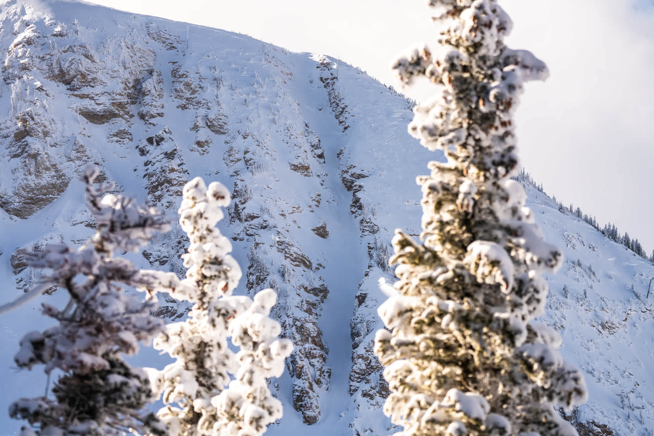 5. BALDY CHUTES