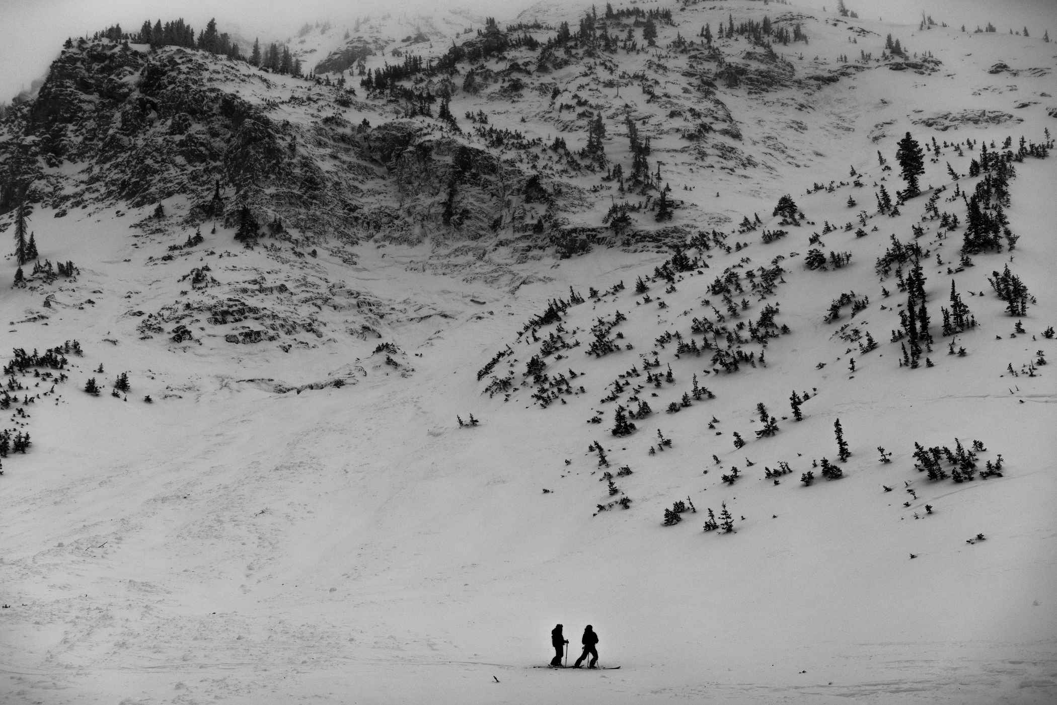 December 31st, 2021: Alta patrollers inspect the Mount Baldy avalanche | Photo: Rocko Menzyk