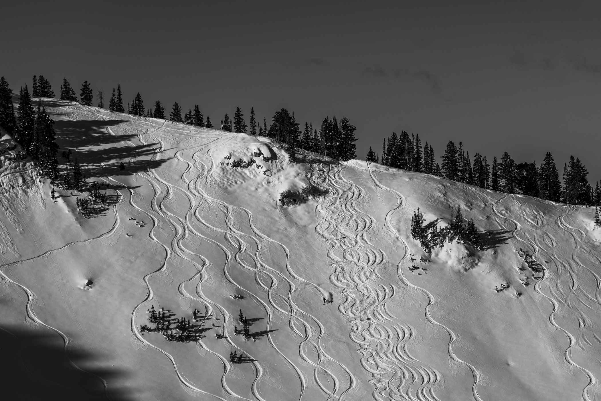 Opening Day offerings | Photo: Rocko Menzyk