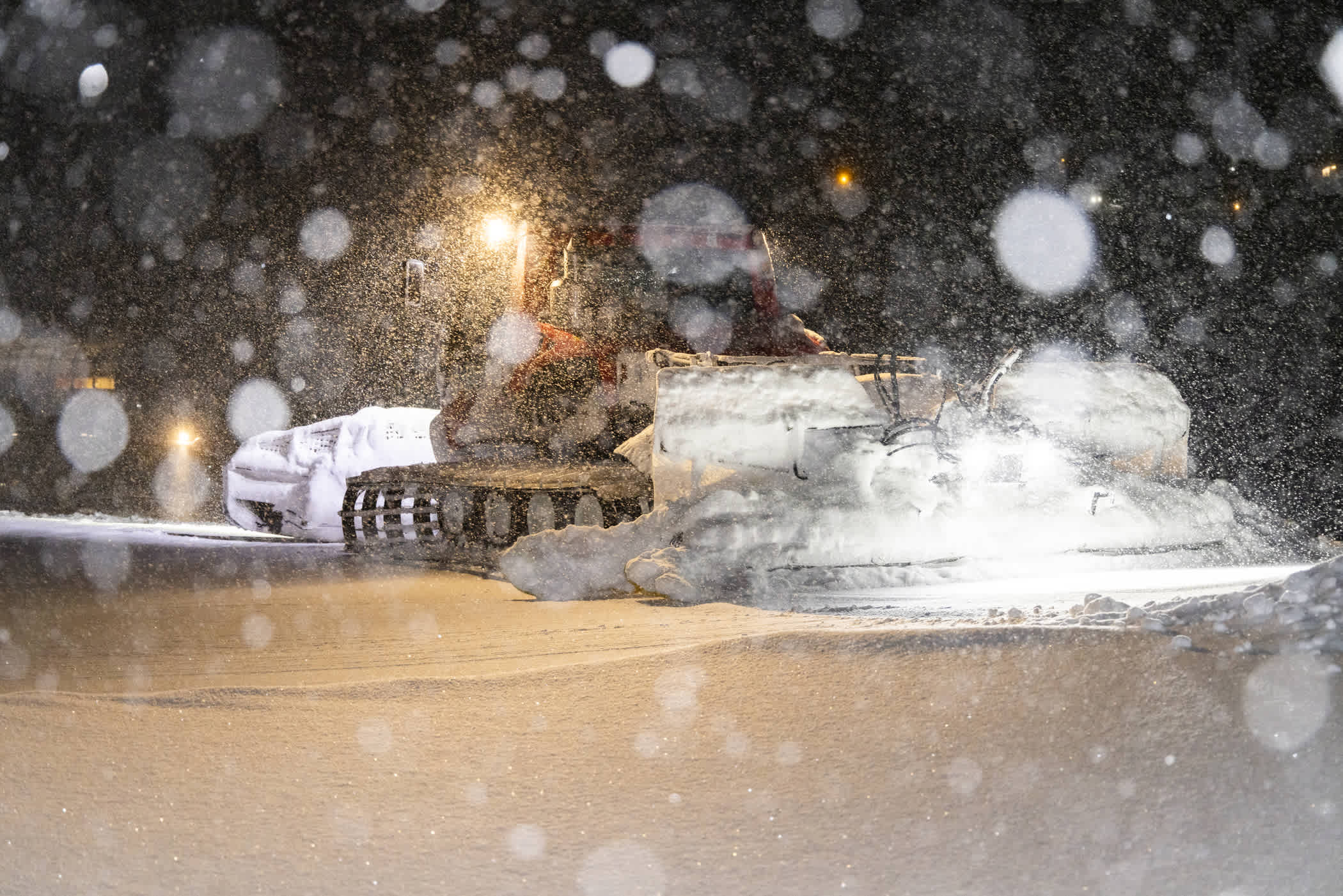 February 22nd: Early morning with the Cat Crew | Photo: Rocko Menzyk