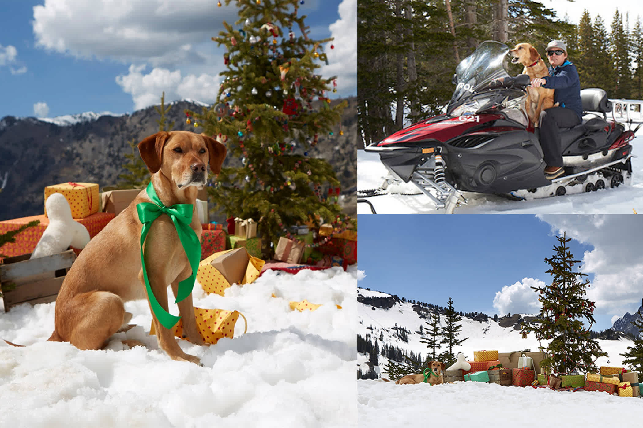 May 2017: Banjo in Sundance Catalog | Photo: Sundance Catalog