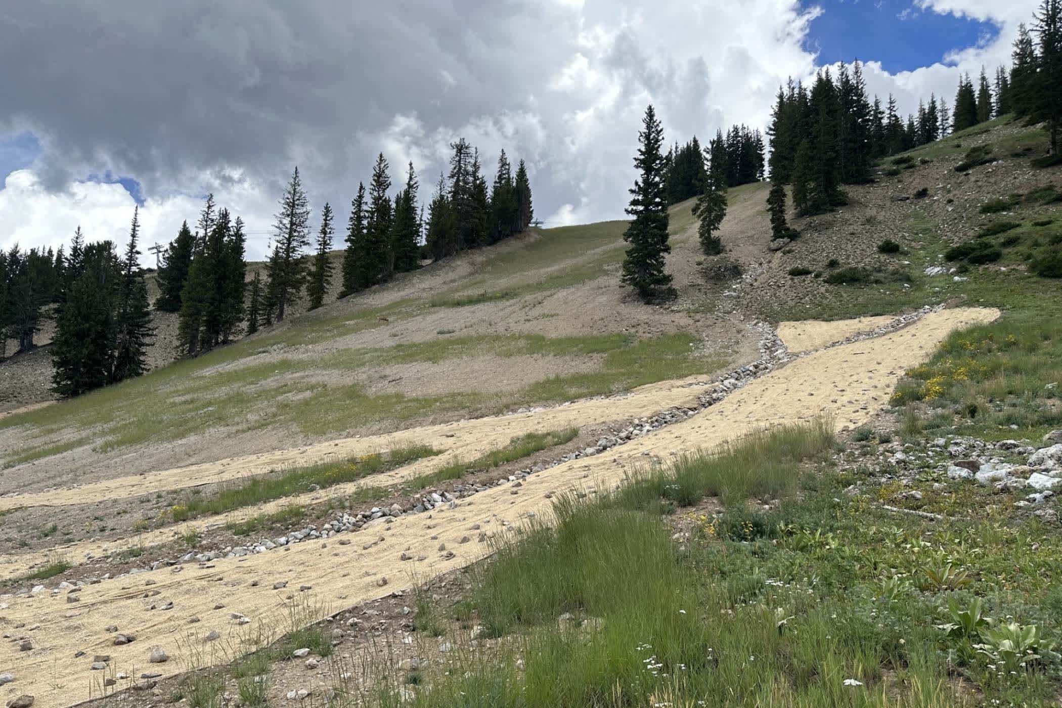 Revegetation mats made of hemp and coconut fibers sit atop a ski run to prevent erosion