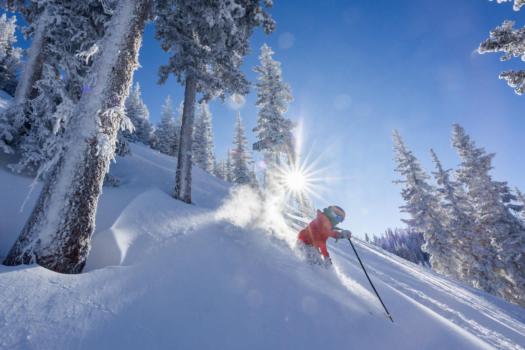 December 9th: A bluebird powder day opening of Supreme | Photos: Photo-John