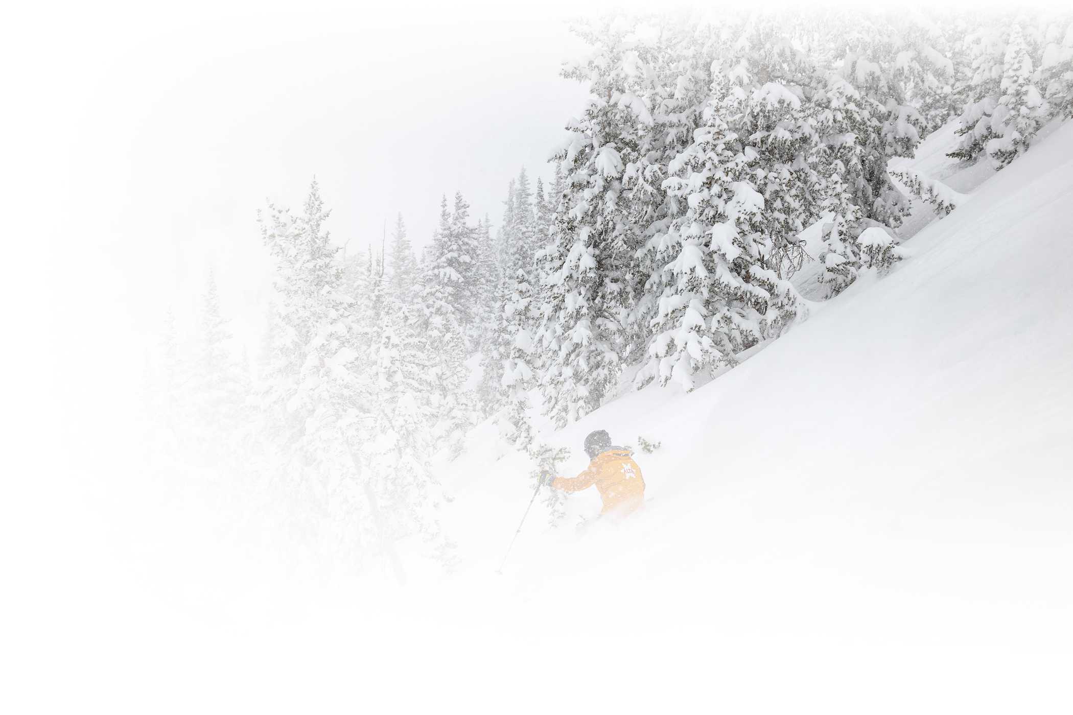 An Alf Engen Ski School demonstrates off-trail powder skiing at Alta Ski Area