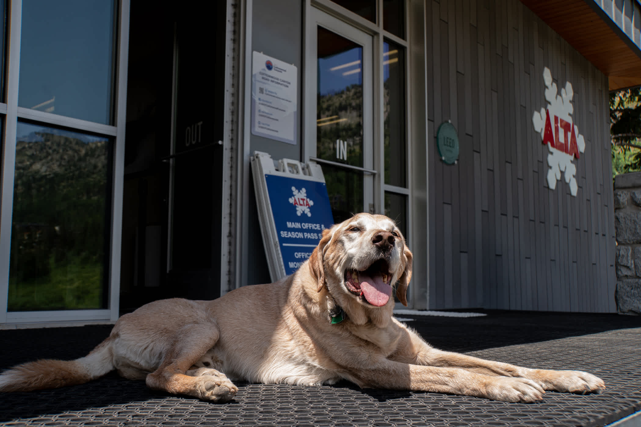 July 2025: Banjo celebrates his 15th birthday | Photo: Adam Fehr