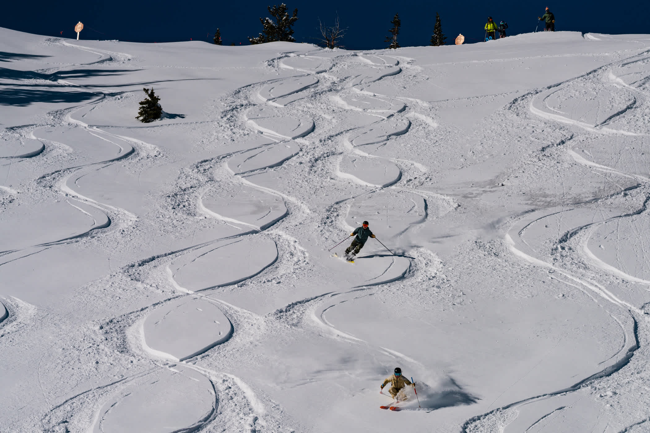 March 4th: Alta skiers put down some powder 88s | Photo: Tyler Struss