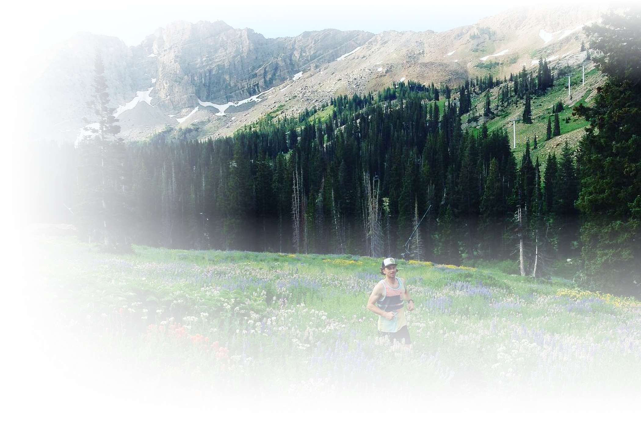 A runner in the wildflowers on a sunny summer day at Alta Ski Area