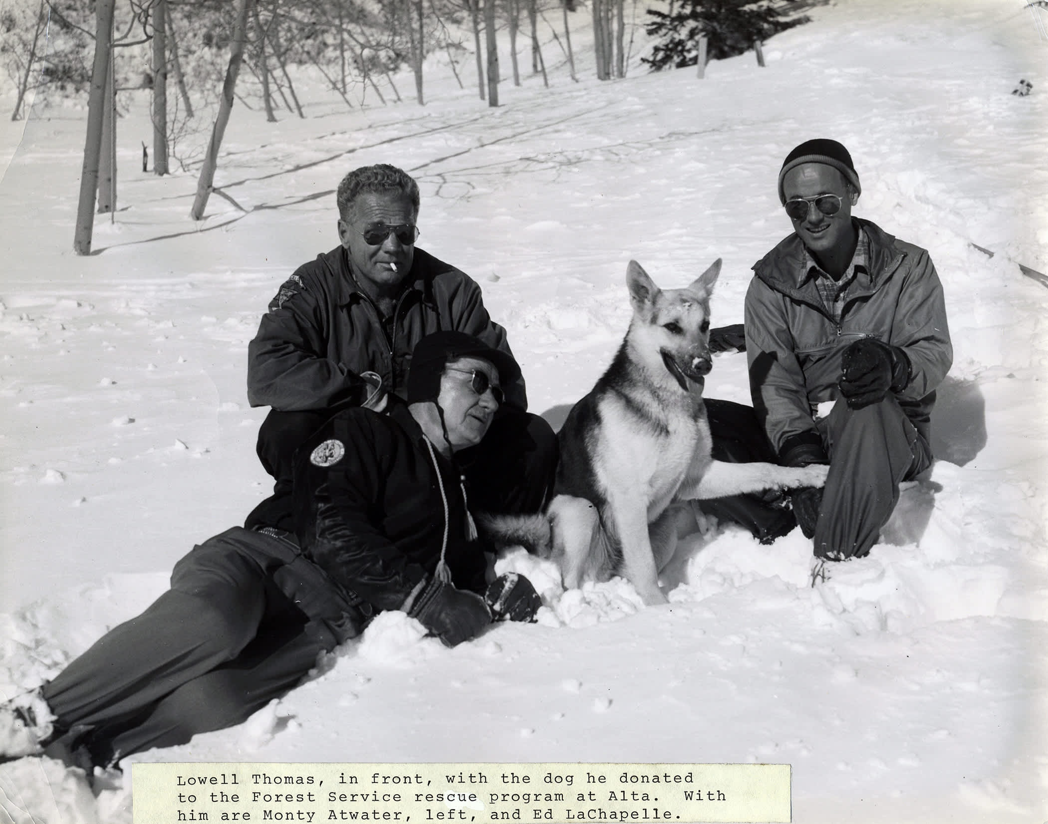 Cola the first Avalanche Rescue Dog