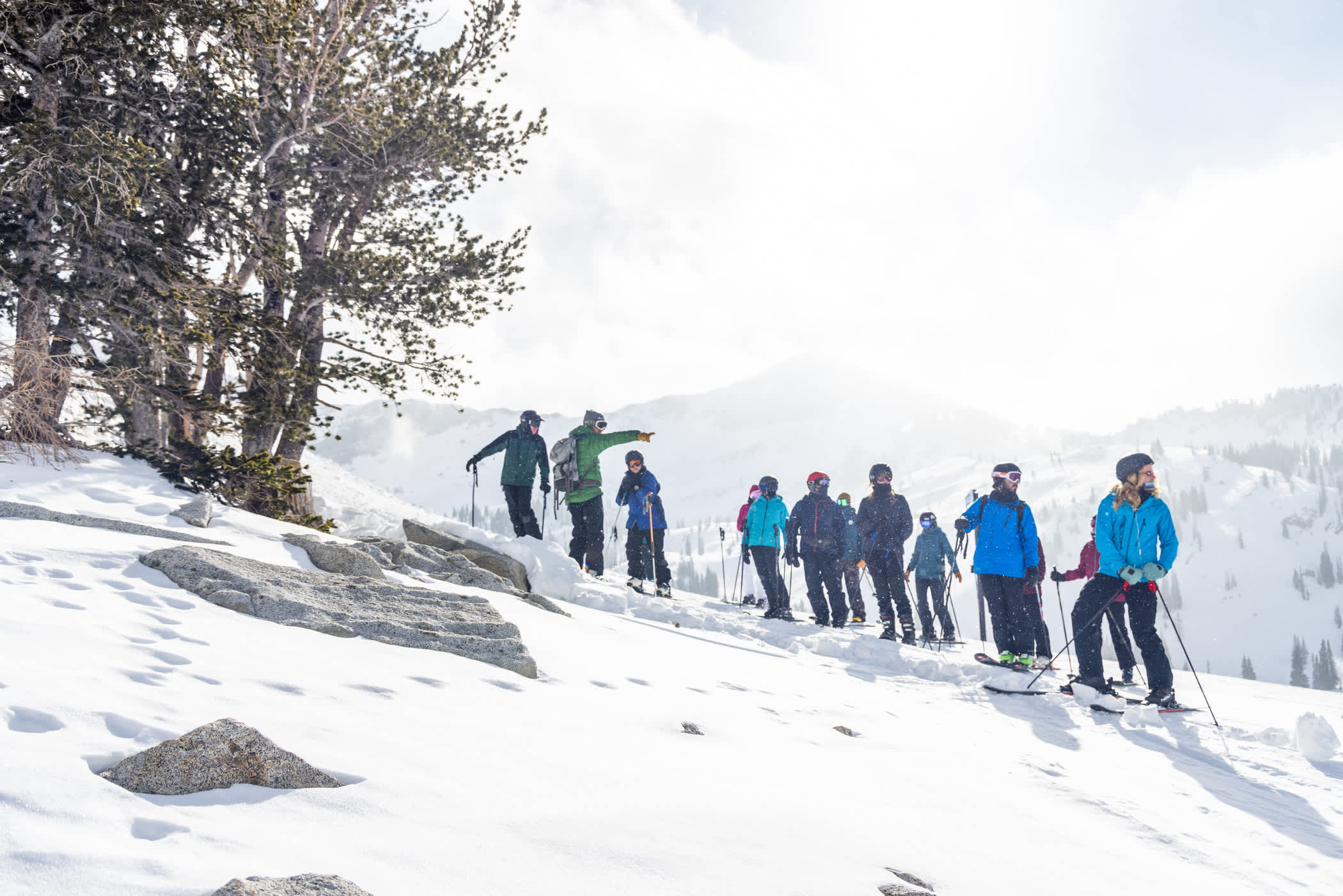 Trees and Skis tour at Alta Ski Area