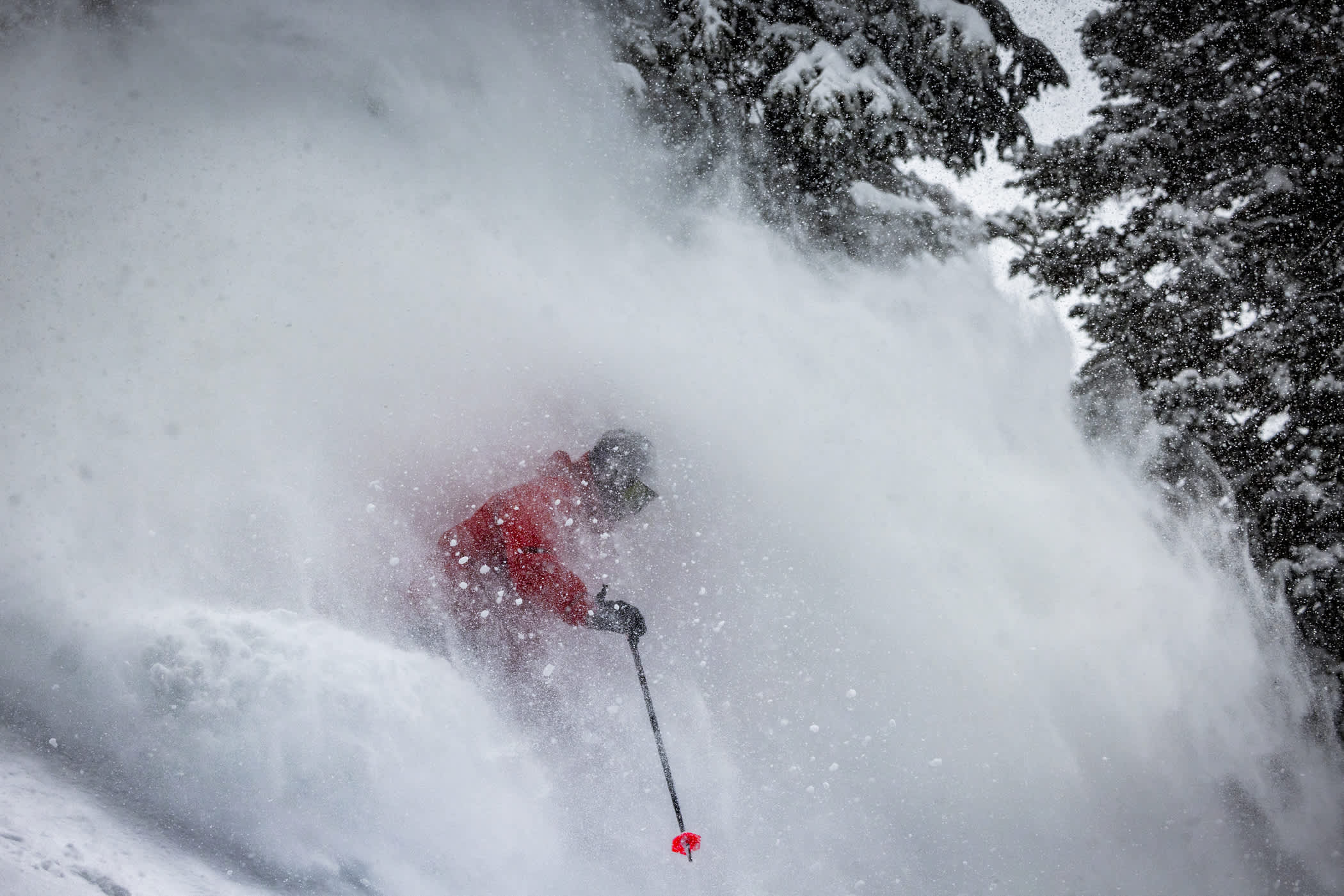February 18th: Grant Howard skis the trees | Photo: Rocko Menzyk