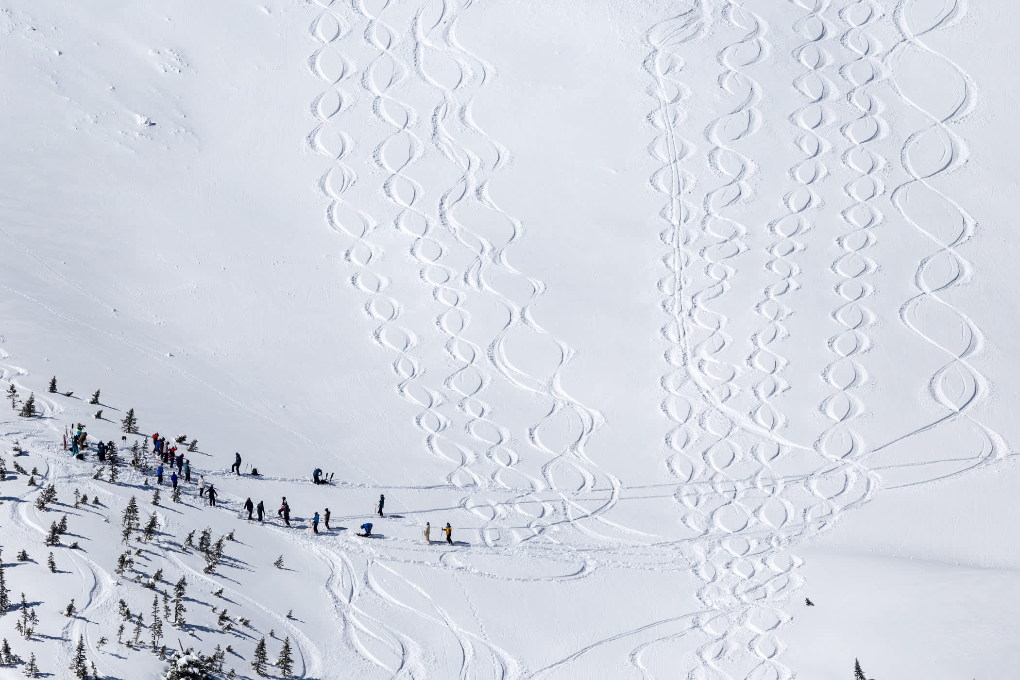 Ski tracks on a snowy slope during a Figure 8s competition