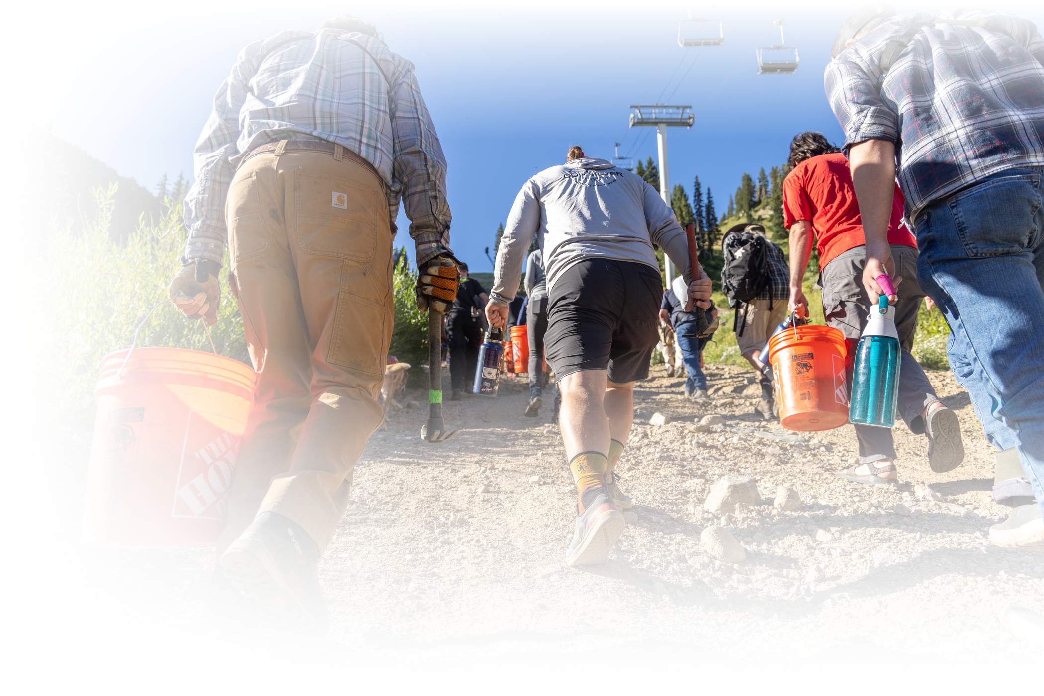 employees head up to do some planting