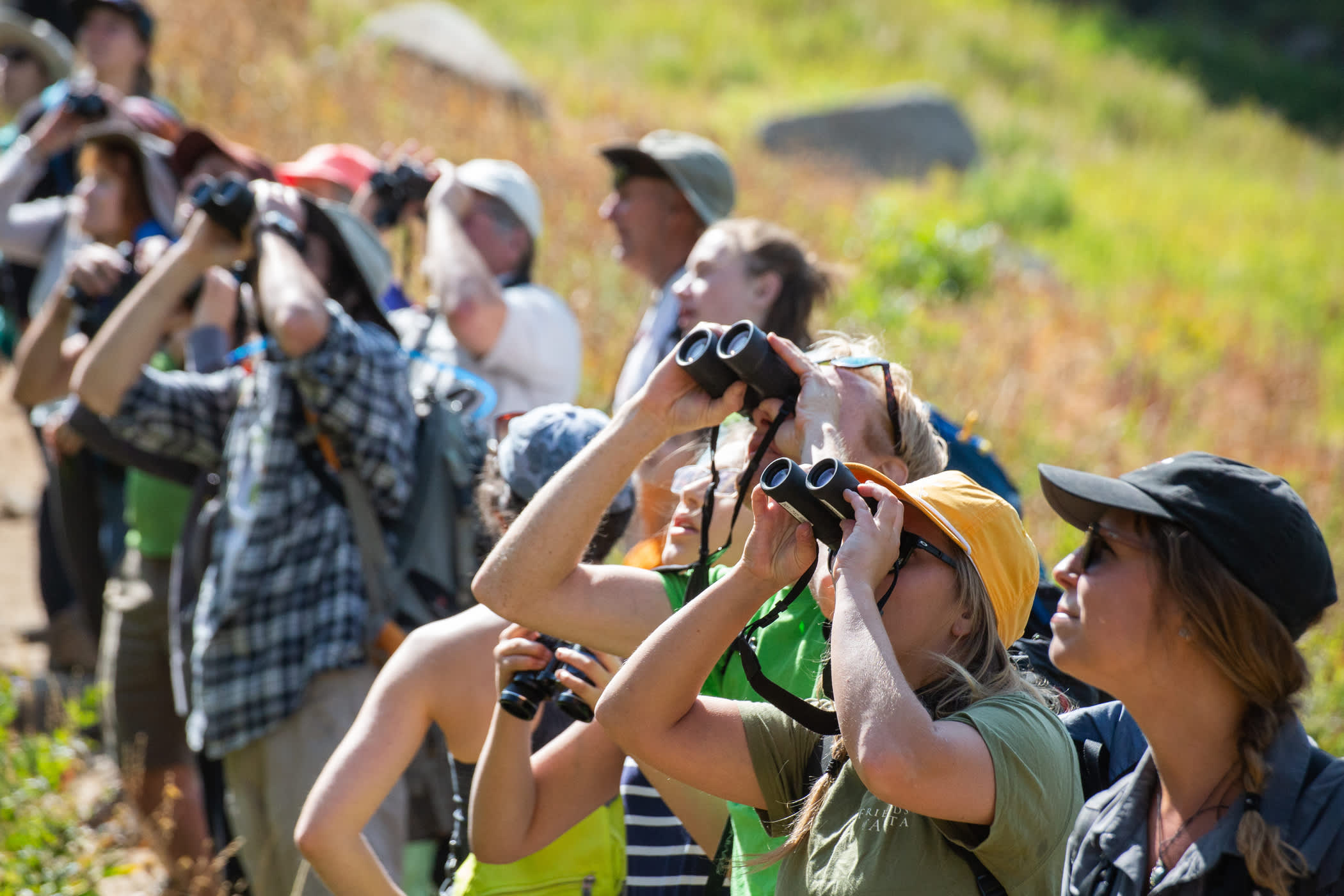 Birding Hikes with Tracy Aviary