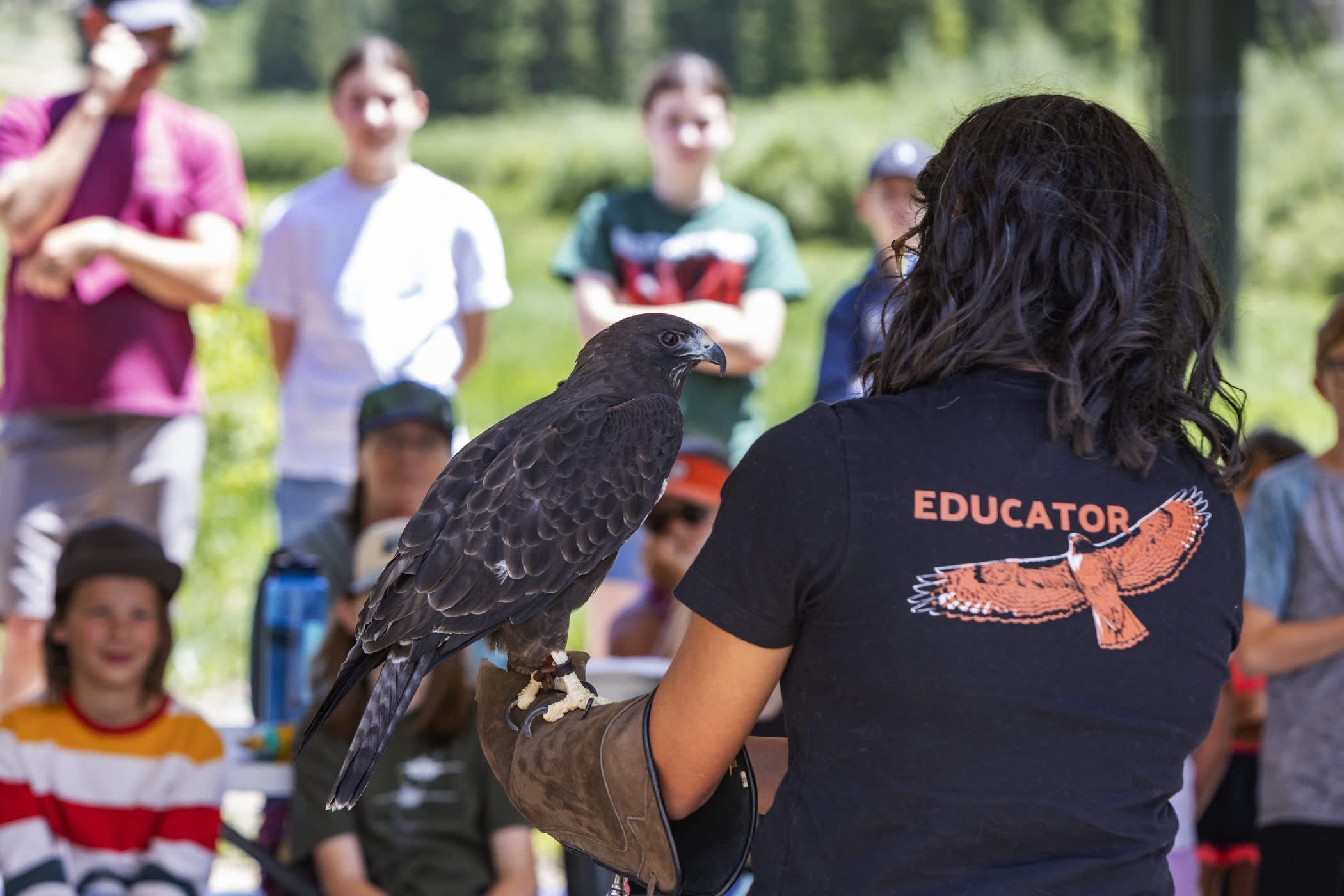 A rear view of a woman holding a large, brown bird of prey while an audience looks on