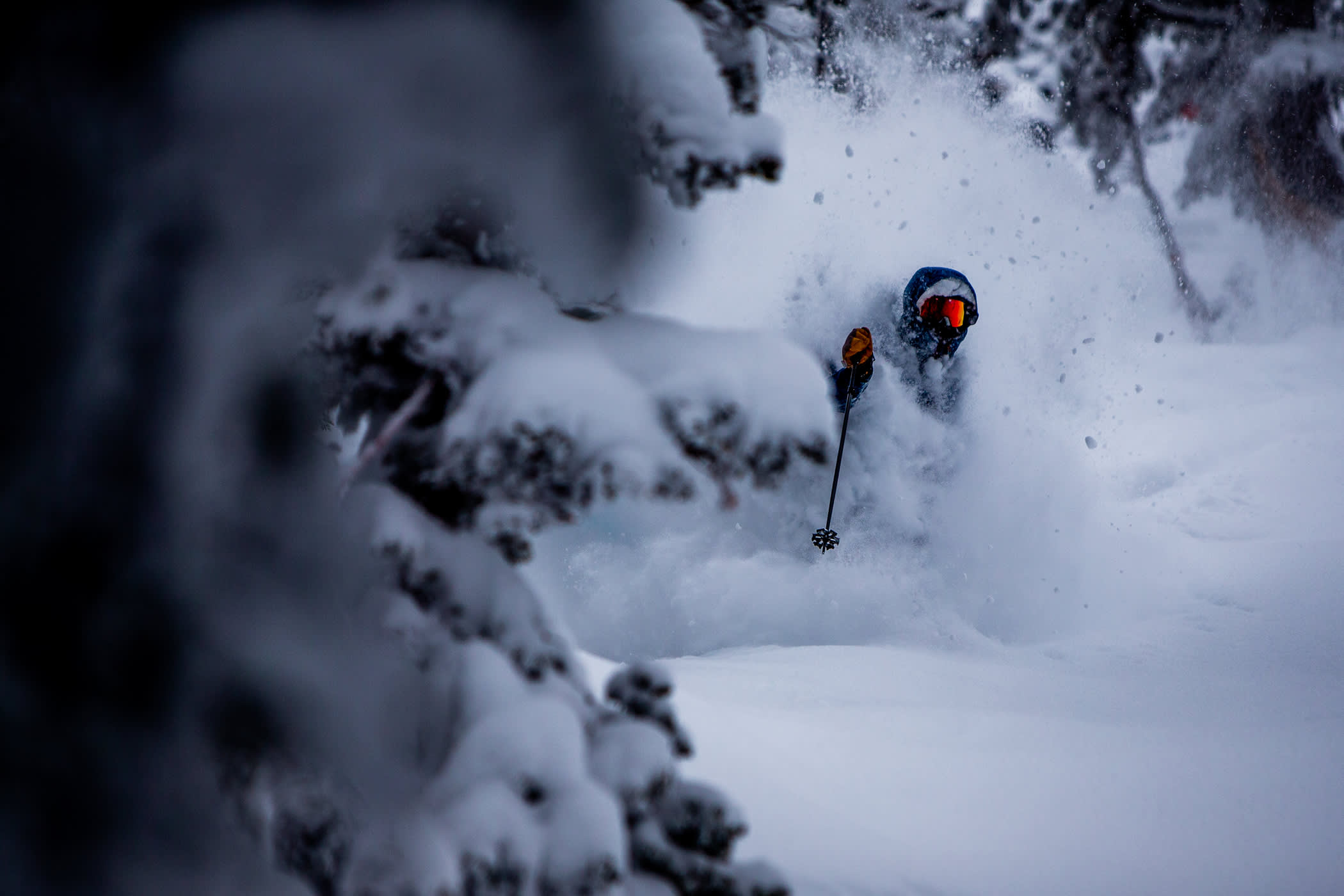 Jonah Williams loves powder skiing | Photo: Rocko Menzyk