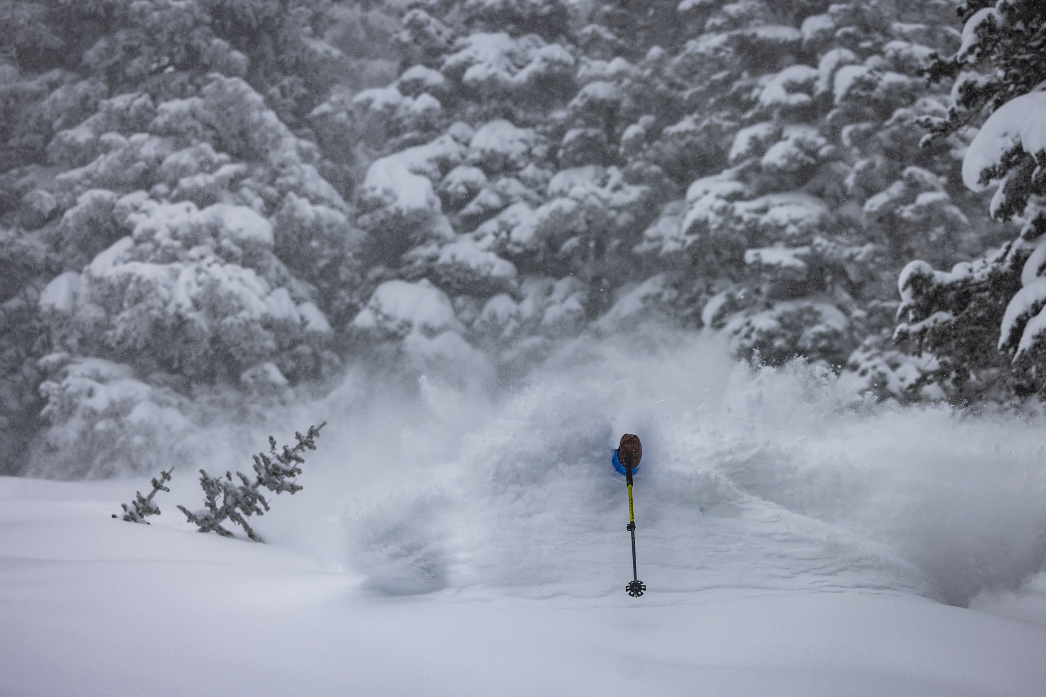 February 20th: Tommy Flitton storm skiing, again | Photo: Rocko Menzyk