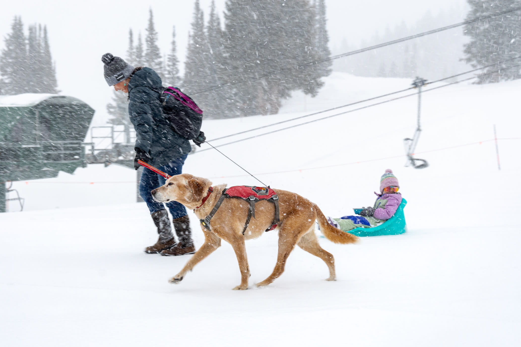 January 2024: Banjo escorting his family through another storm | Photo: Photo-John