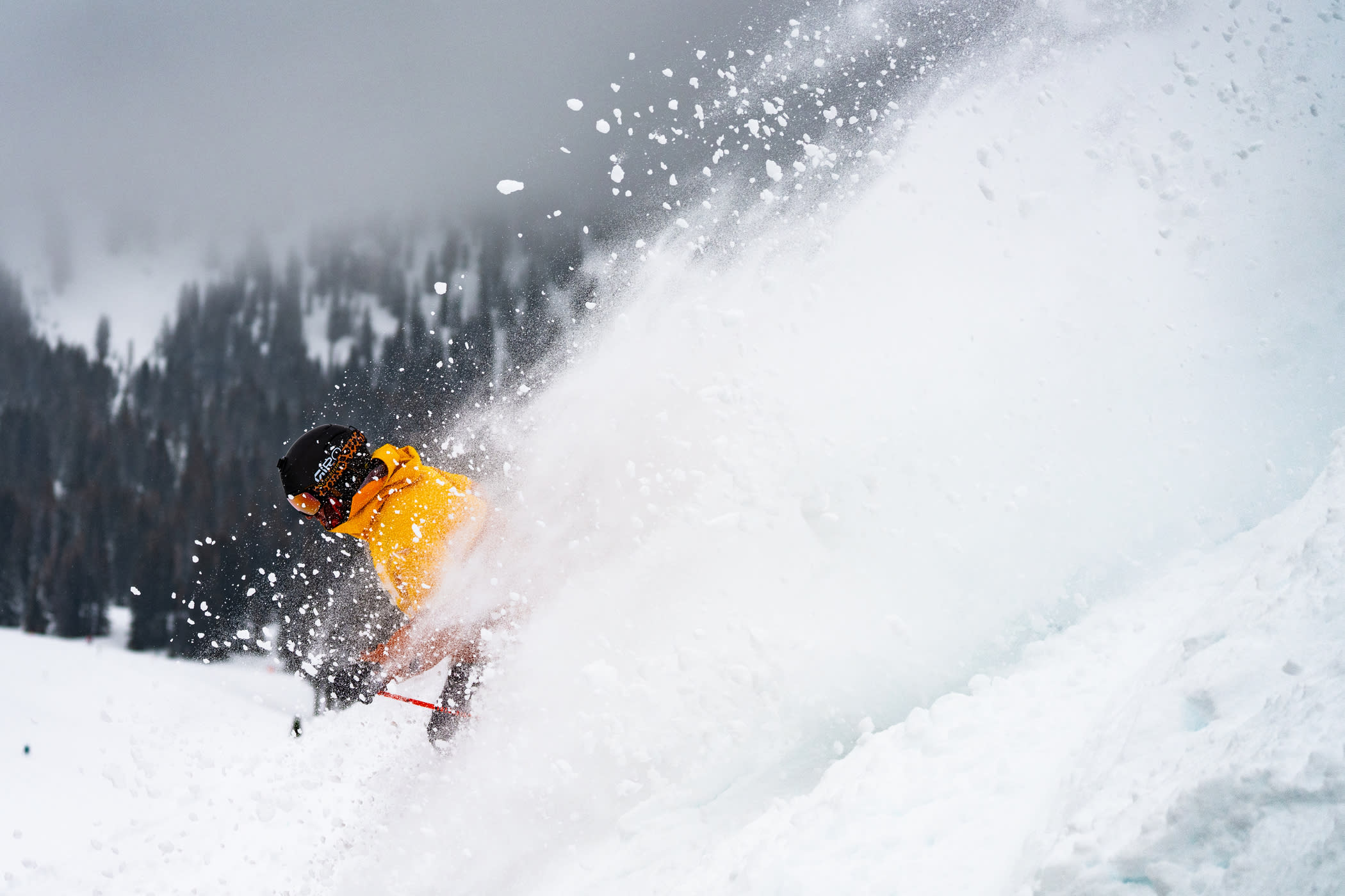 March 3rd: David Berthiaume skis fresh snow on his birthday | Photo: Tyler Struss