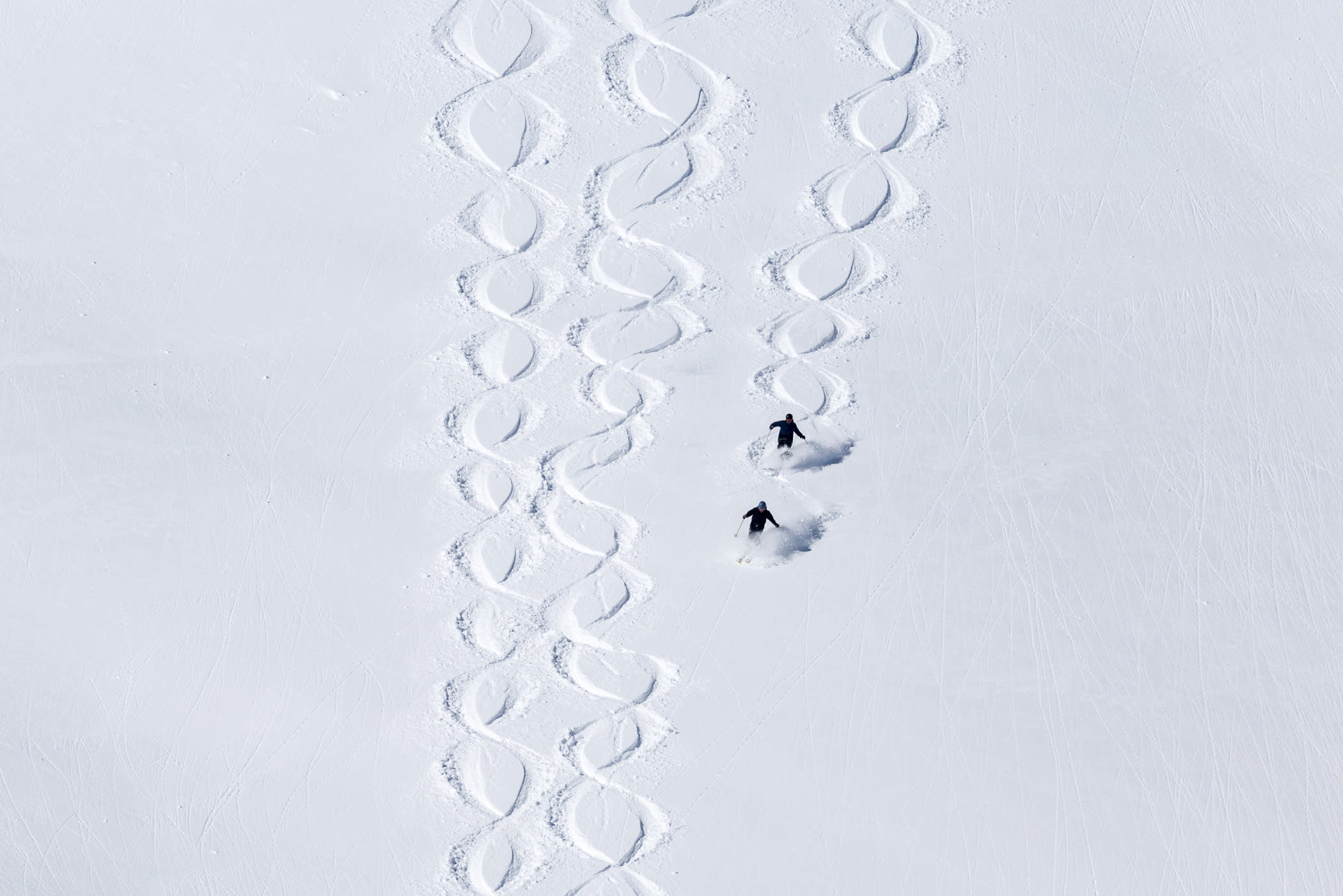 April 3rd: Gavin Piva & Johhny Gustaitis III representing Watson Shelter in the Alta Powder 8 Championship | Photo: Photo-John