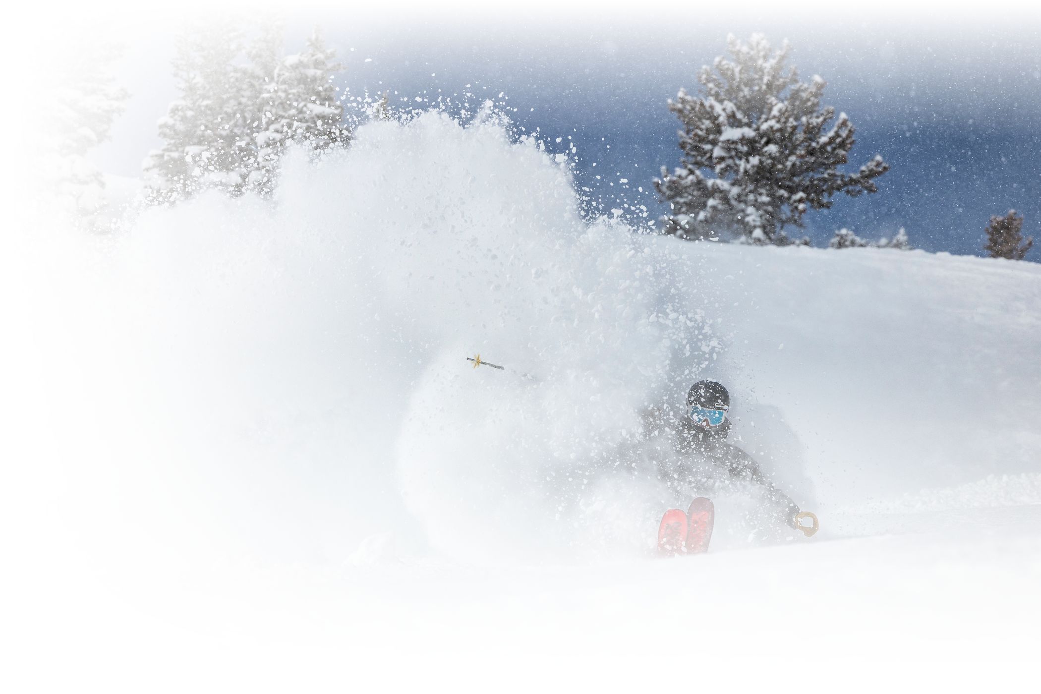 A skier skis deep powder on a sunny March powder day at Alta Ski Area