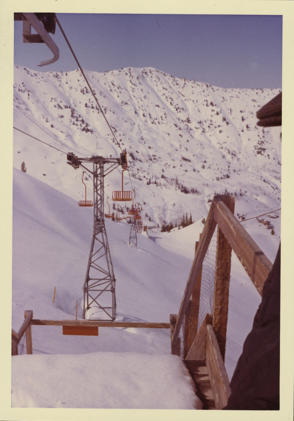 Wildcat opens