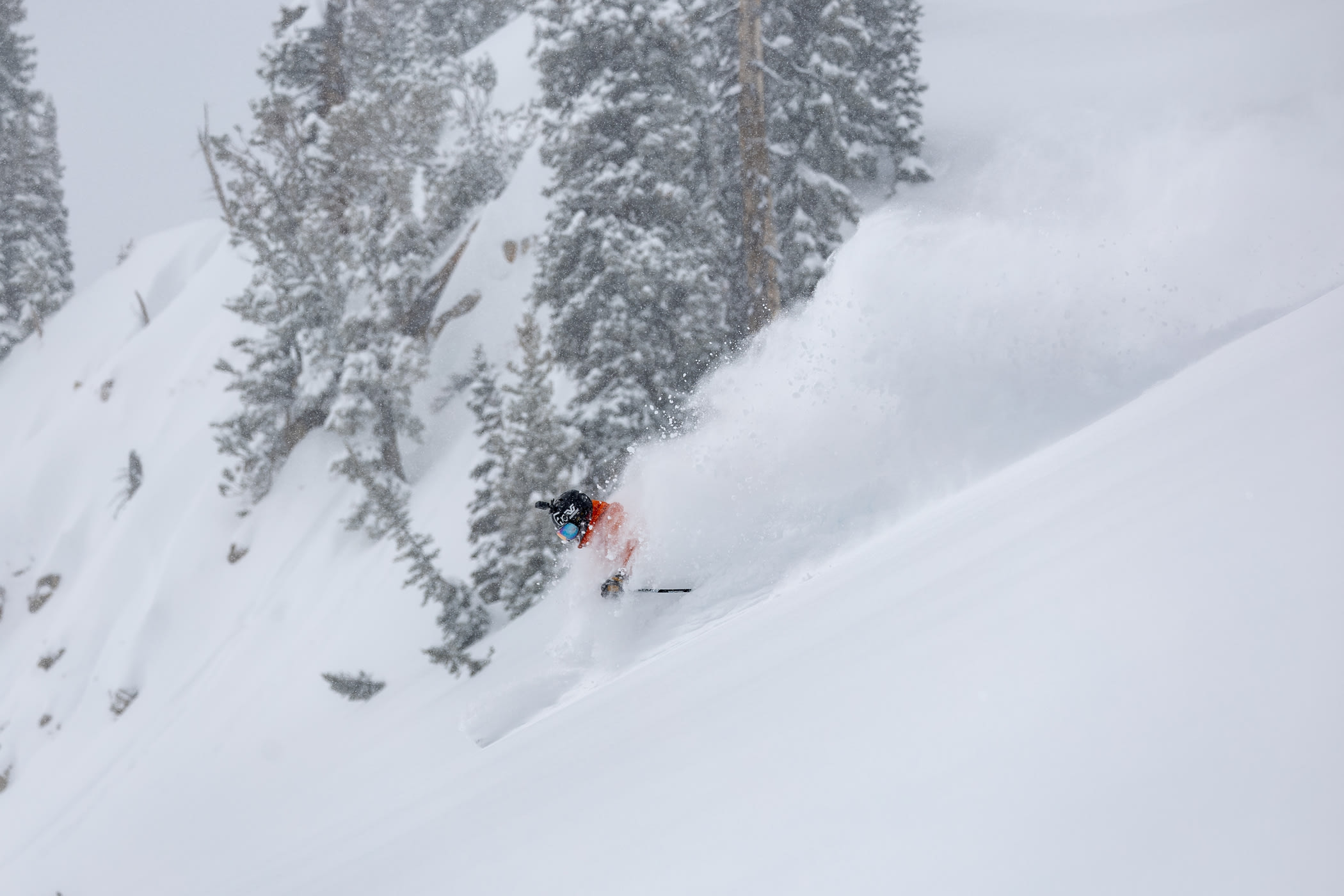 March 24th: Julian Carr is no stranger to storm skiing at Alta | Photo: Photo-John