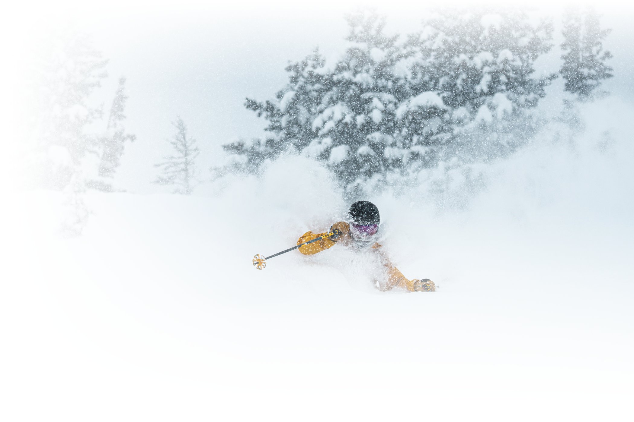 A skied skis deep February powder at Alta Ski Area