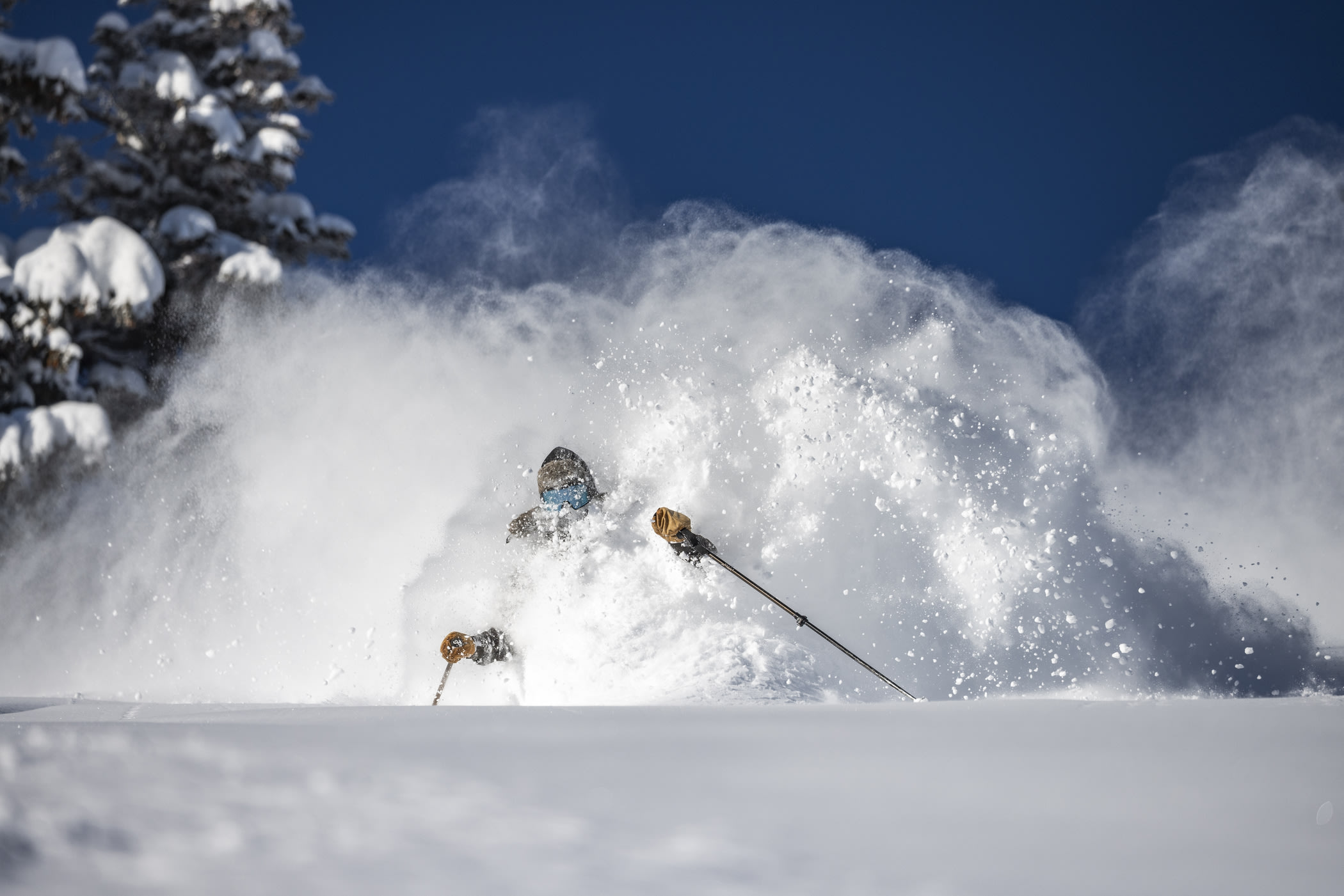 January 9th: Michael Cherchio dives into 22 inches of Alta Magic | Photo: Rocko Menzyk