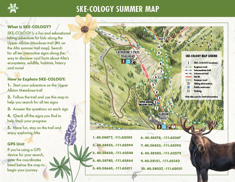 An interactive summer trail map for children who hike at Alta Ski Area