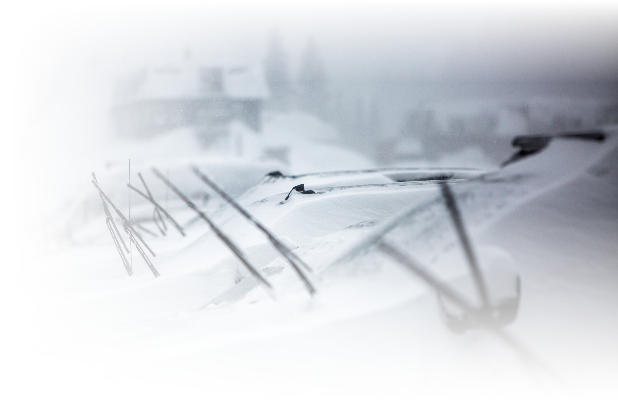 Cars with their windshield wipers up on a snowy winter day at Alta Ski Area